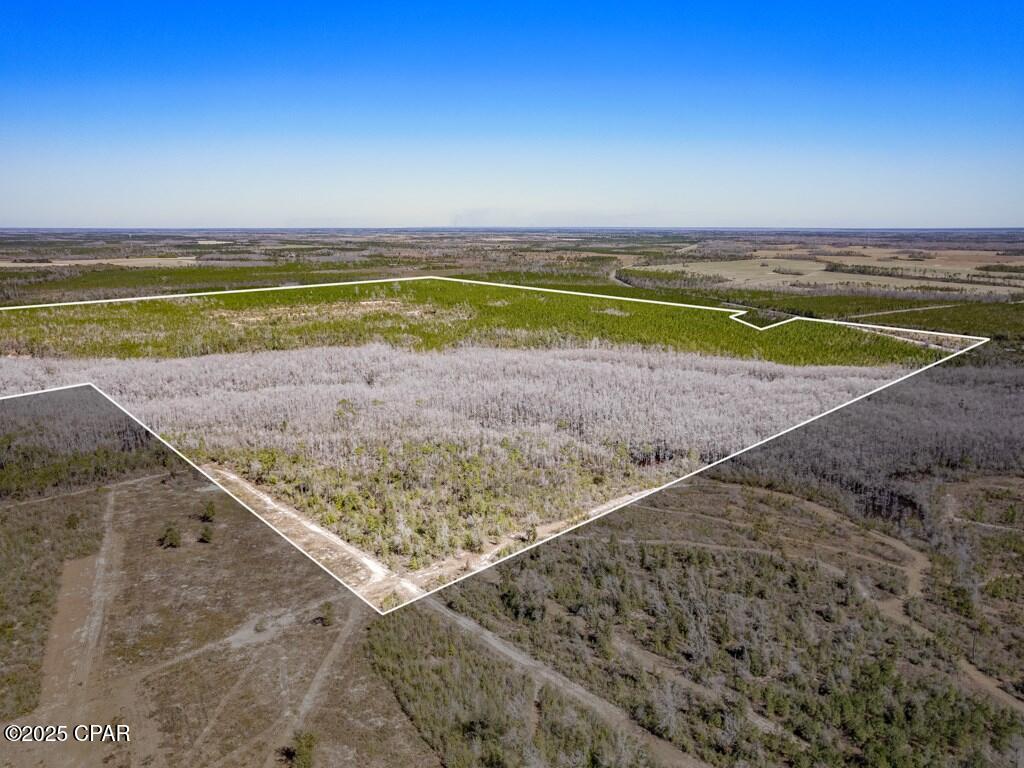 0 S Sr 71 Wewahitchka FL 32449