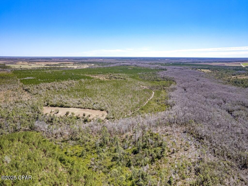 0 S Sr 71 Wewahitchka FL 32449