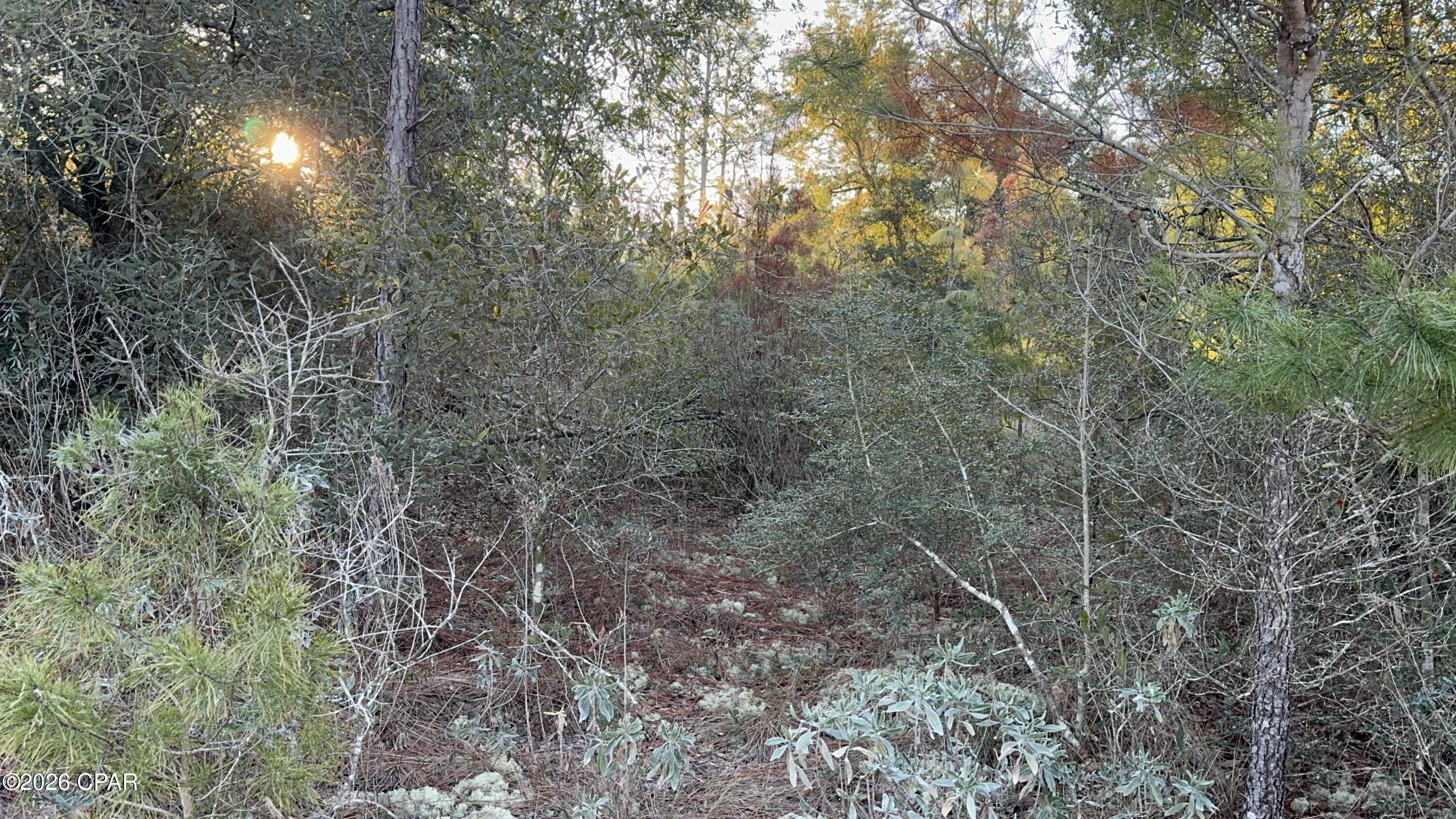Chipley FL 32428