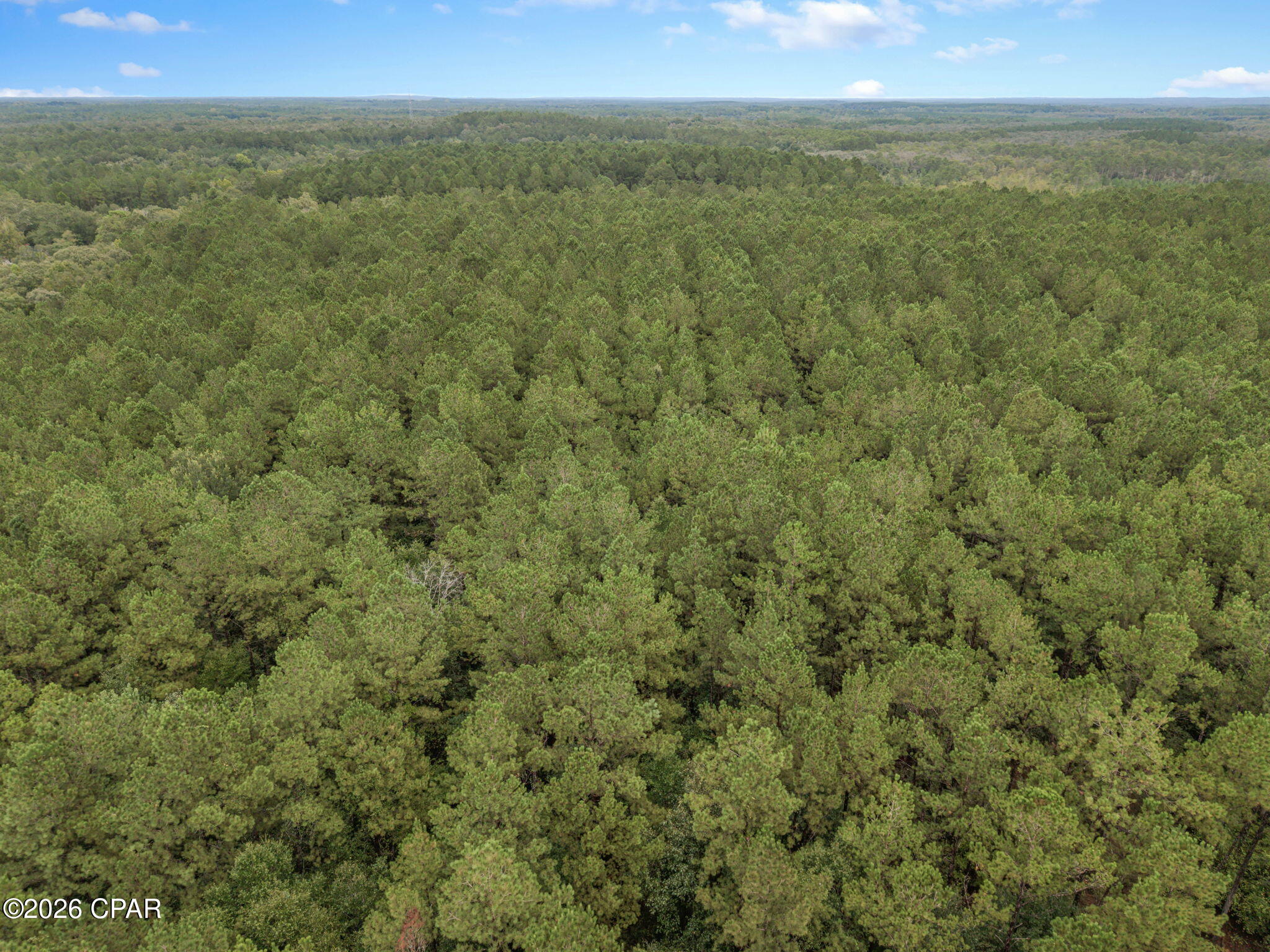 Xxx Lakeview Road Caryville FL 32427
