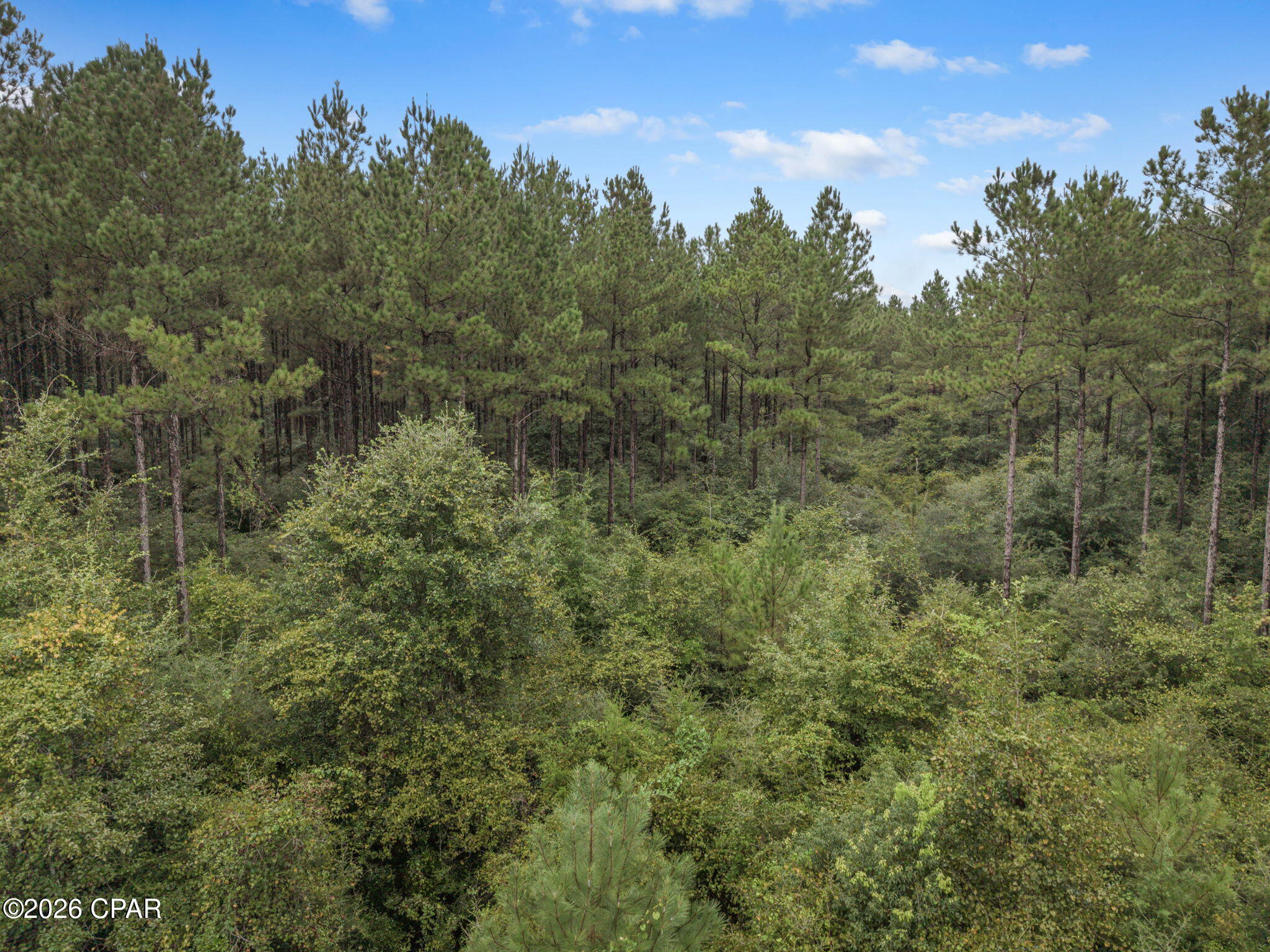 Xxx Lakeview Road Caryville FL 32427
