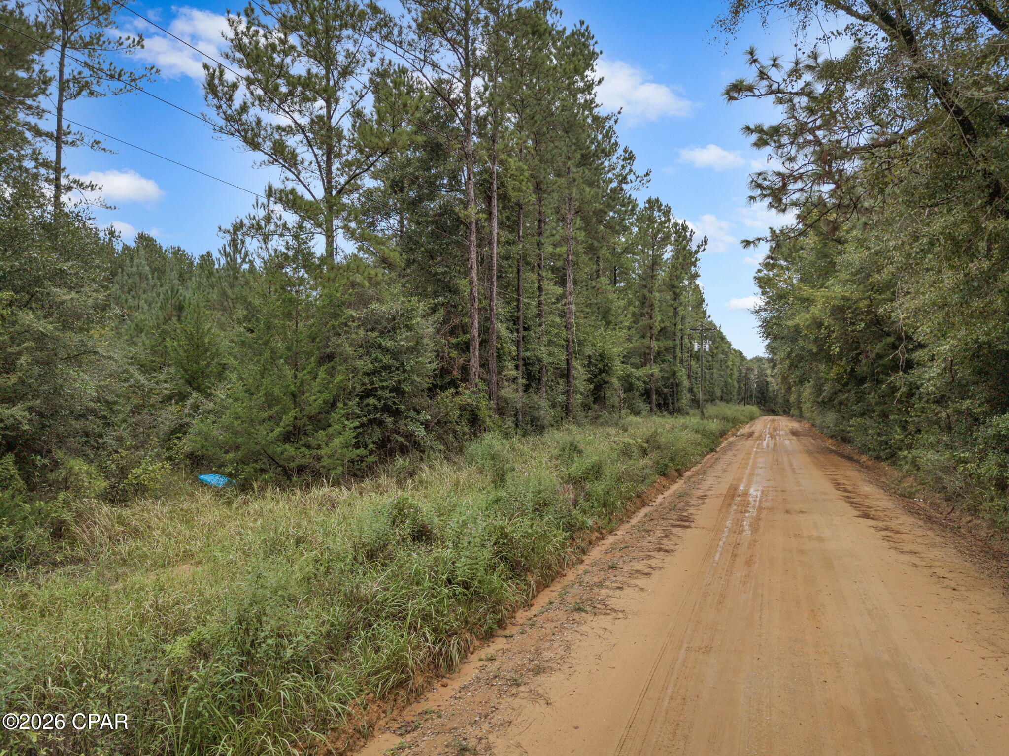 Xxx Lakeview Road Caryville FL 32427