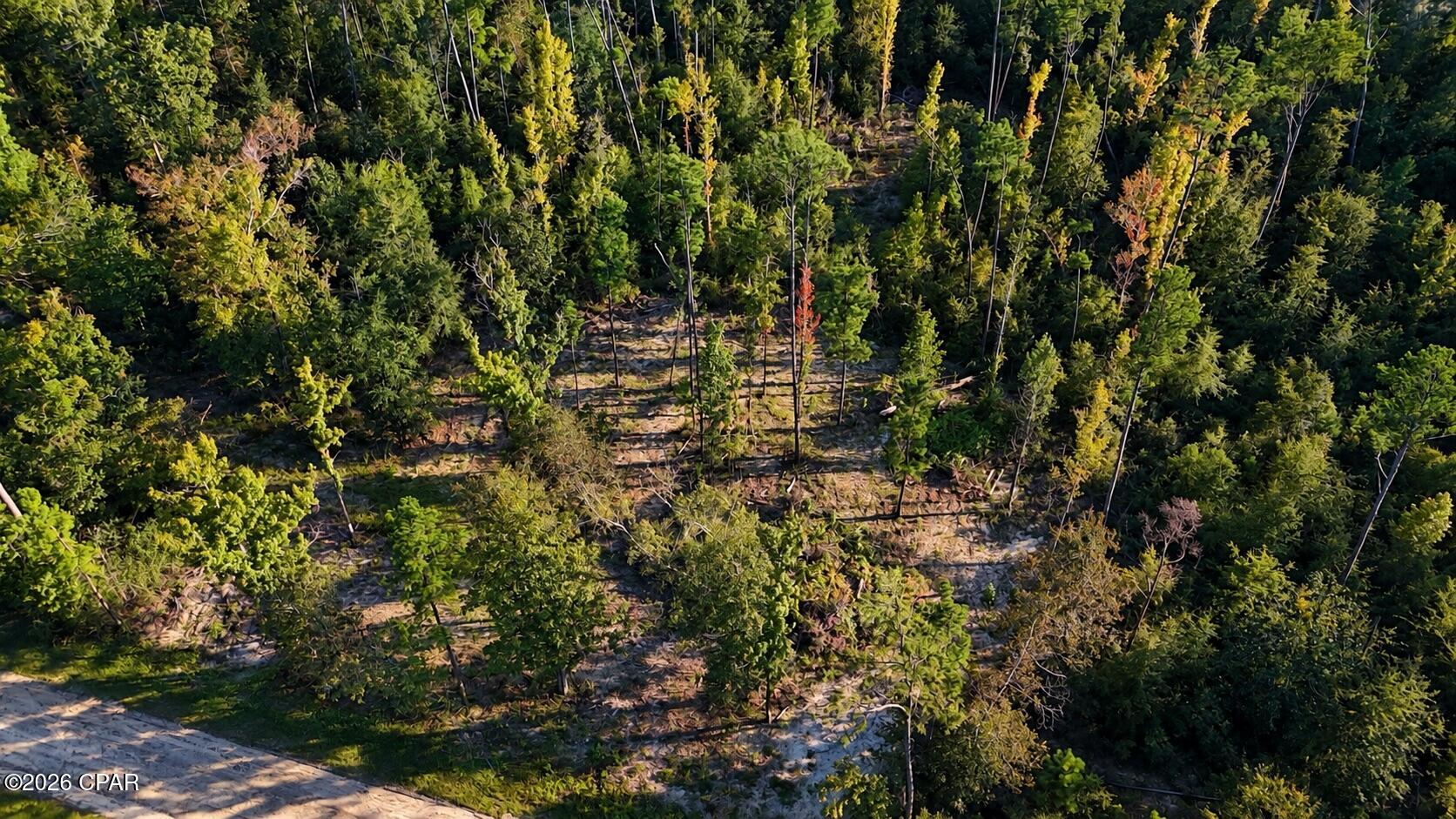 00 Pitts Rd Road Fountain FL 32438