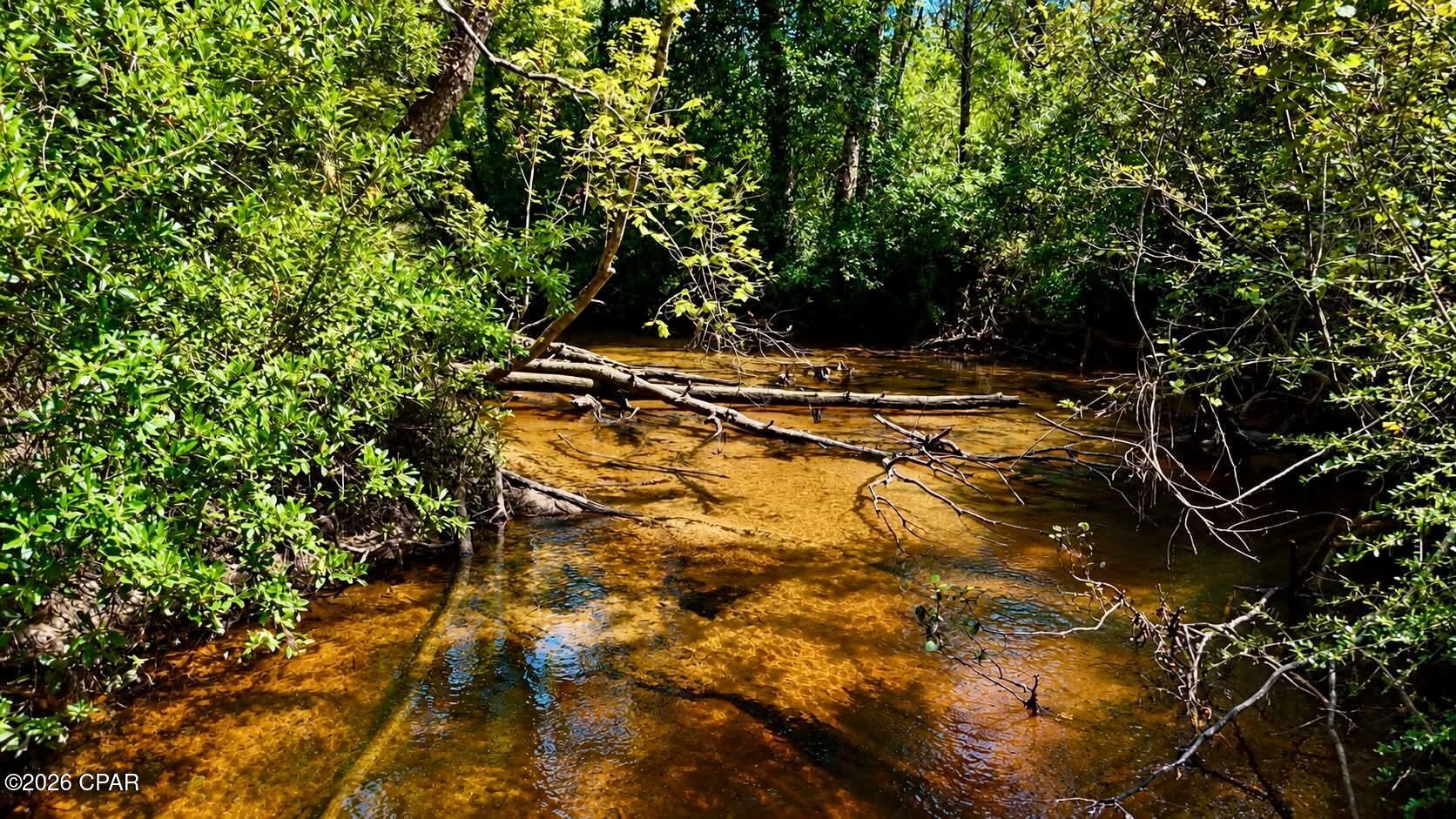 00 Pitts Rd Road Fountain FL 32438