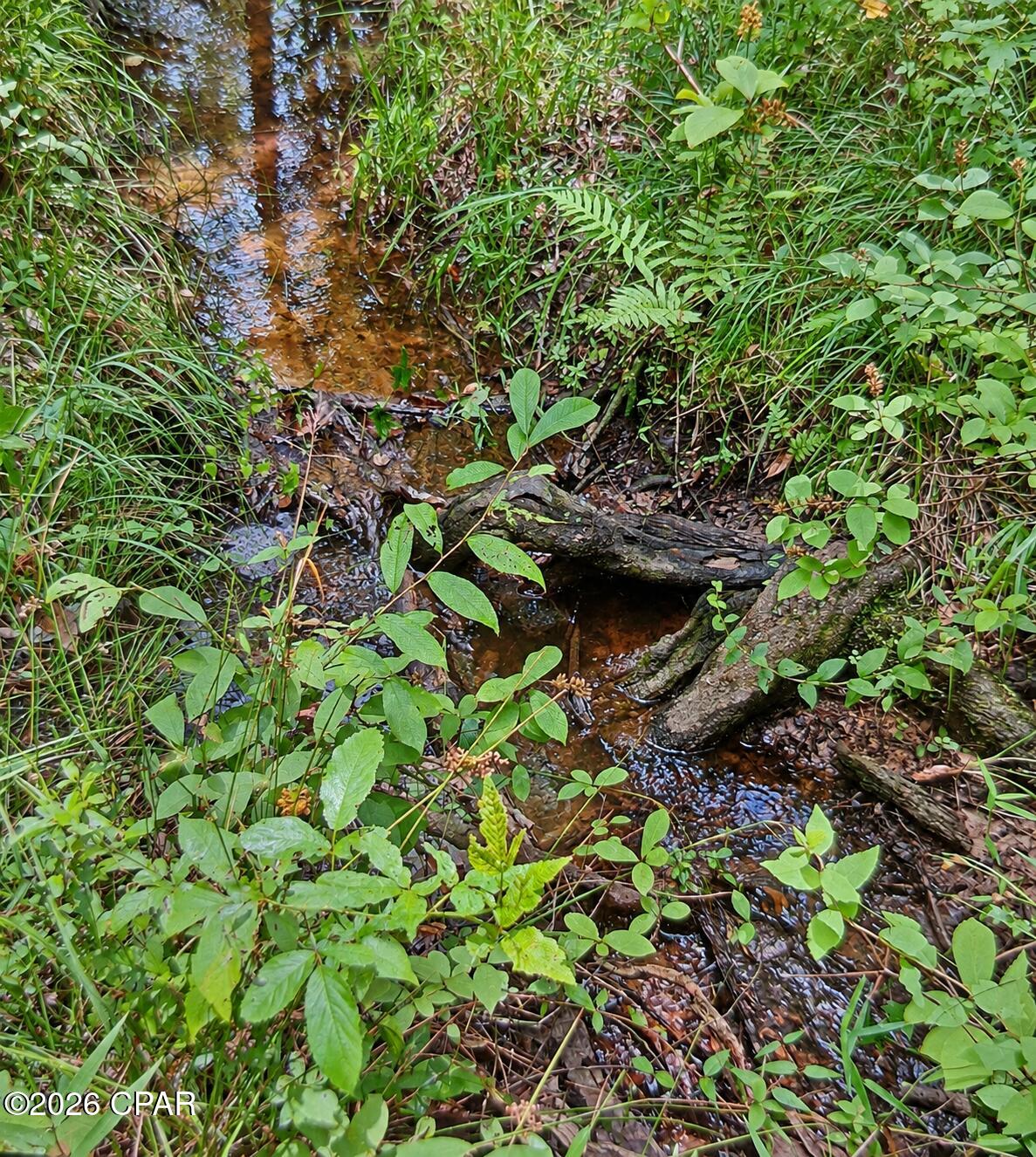 00 Pitts Rd Road Fountain FL 32438