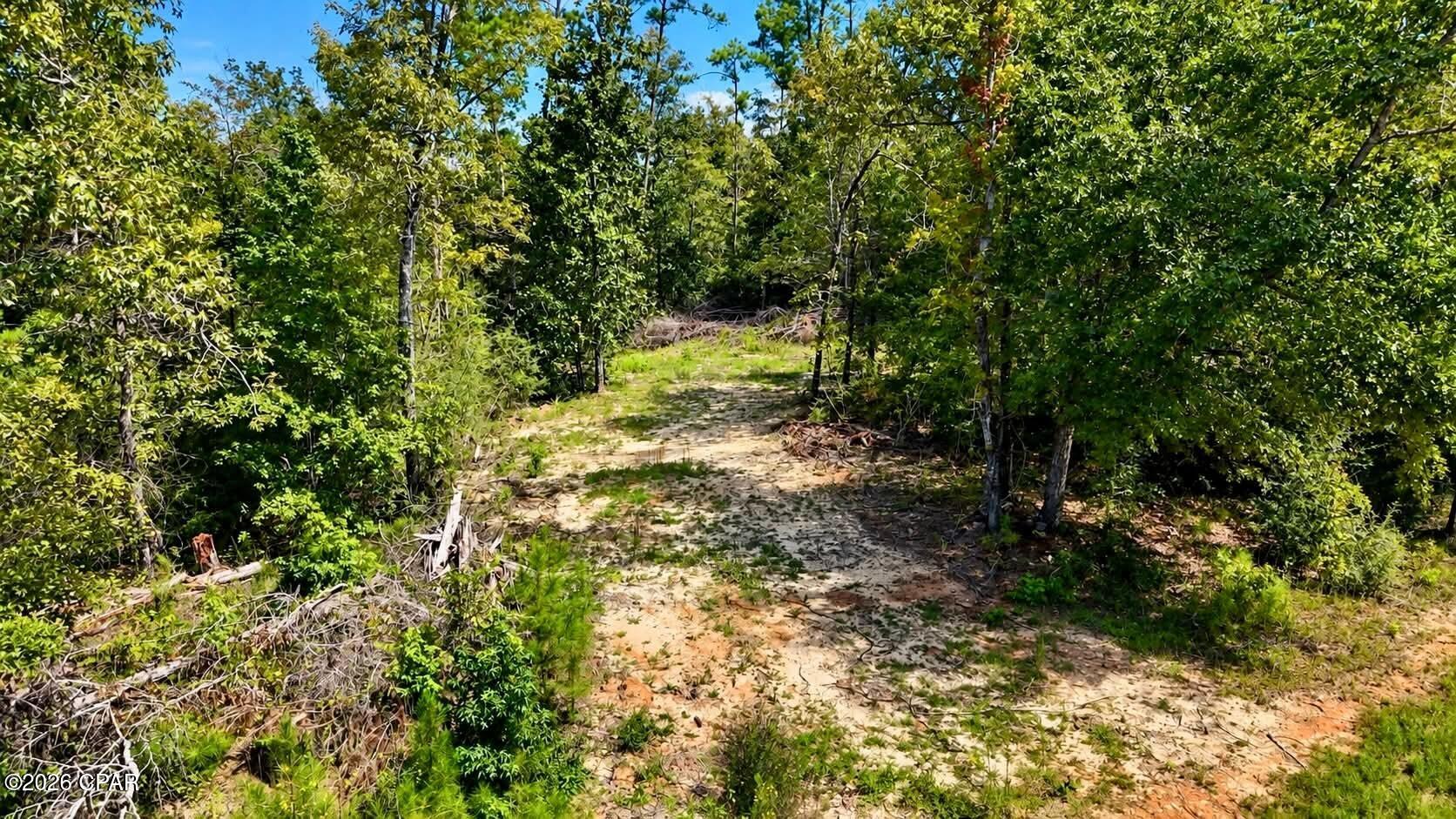 00 Pitts Rd Road Fountain FL 32438