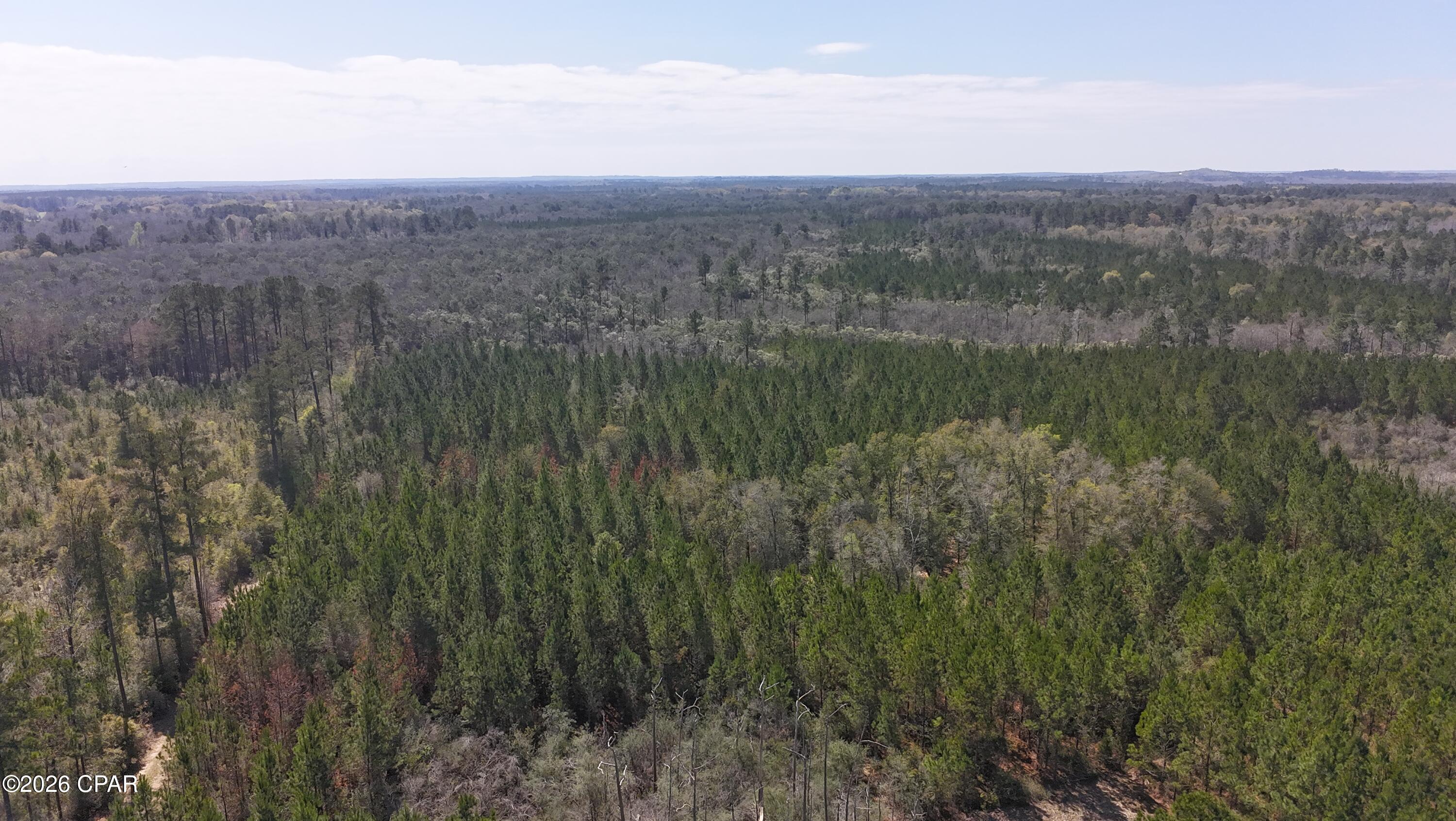 TRACT6416 N Brock Road Caryville FL 32427