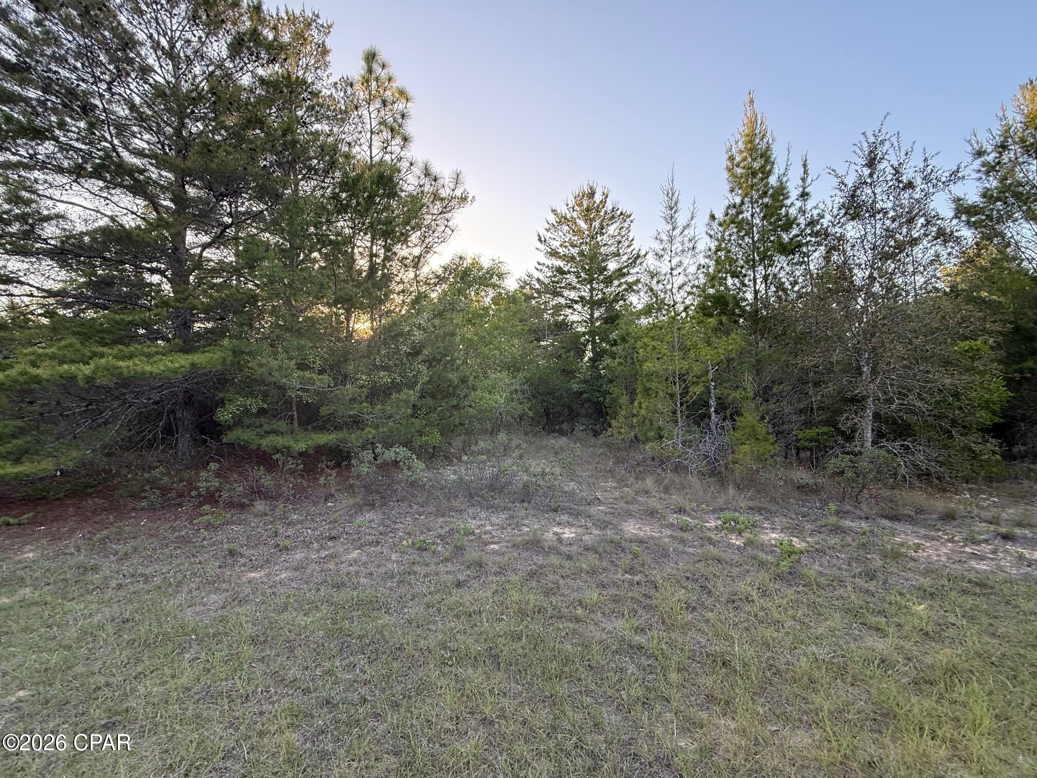 3970 Roseway Avenue Chipley FL 32428