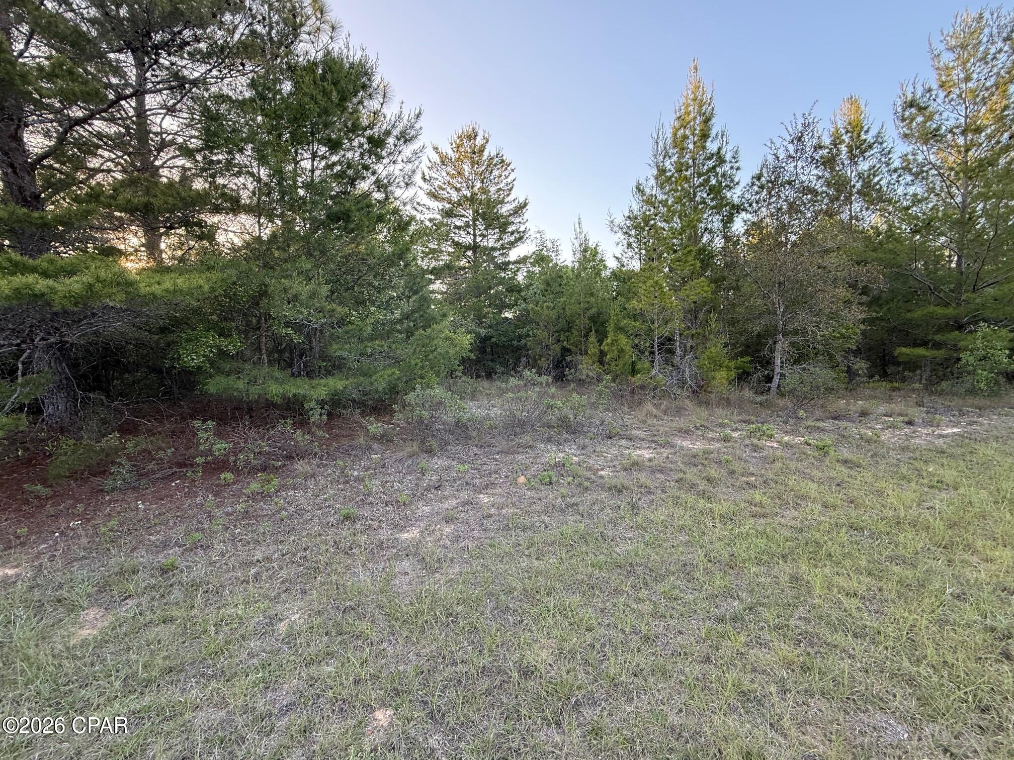 3970 Roseway Avenue Chipley FL 32428