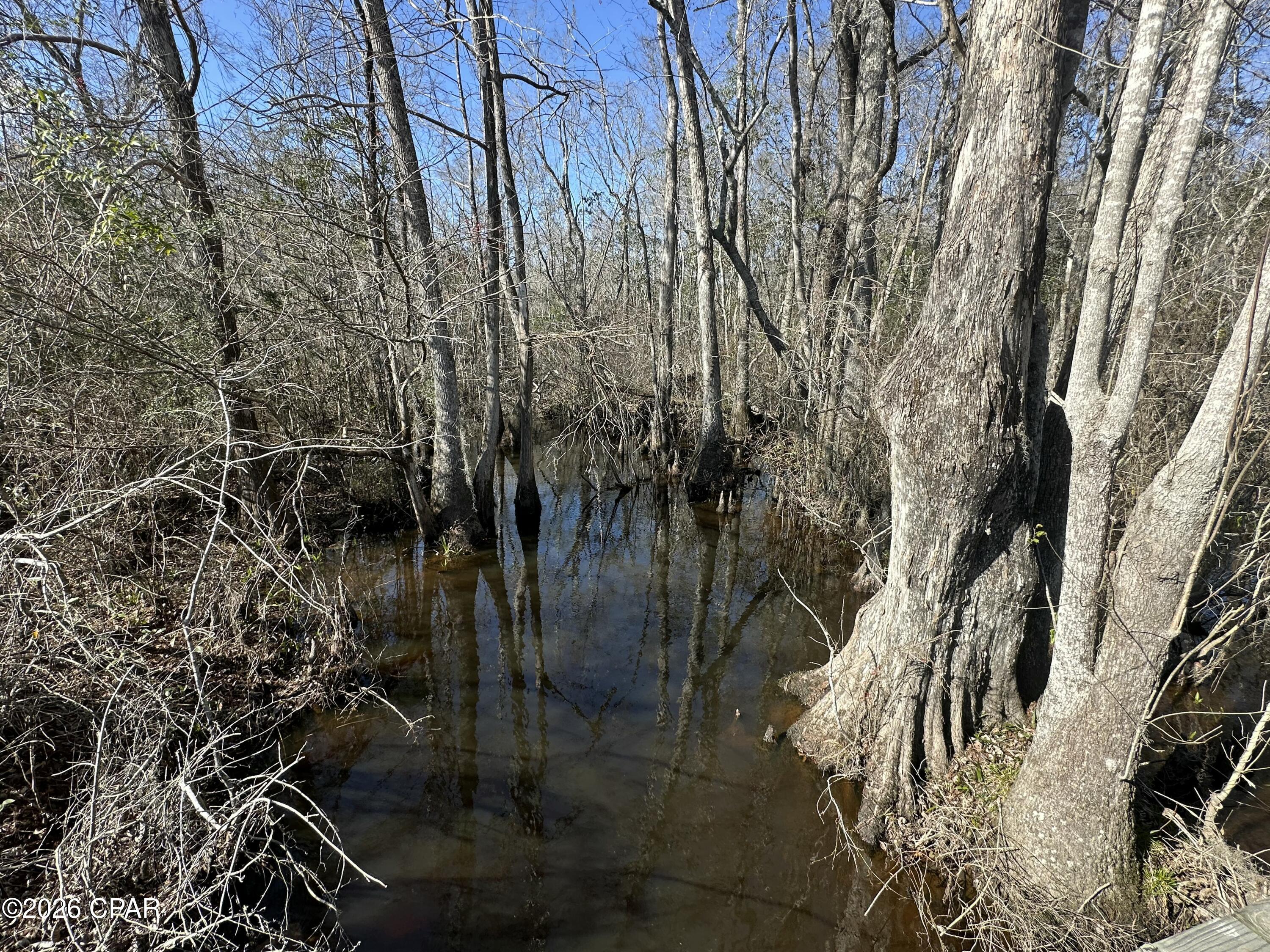 TRACT#6317 S Harris Stevenson Road Bonifay FL 32425
