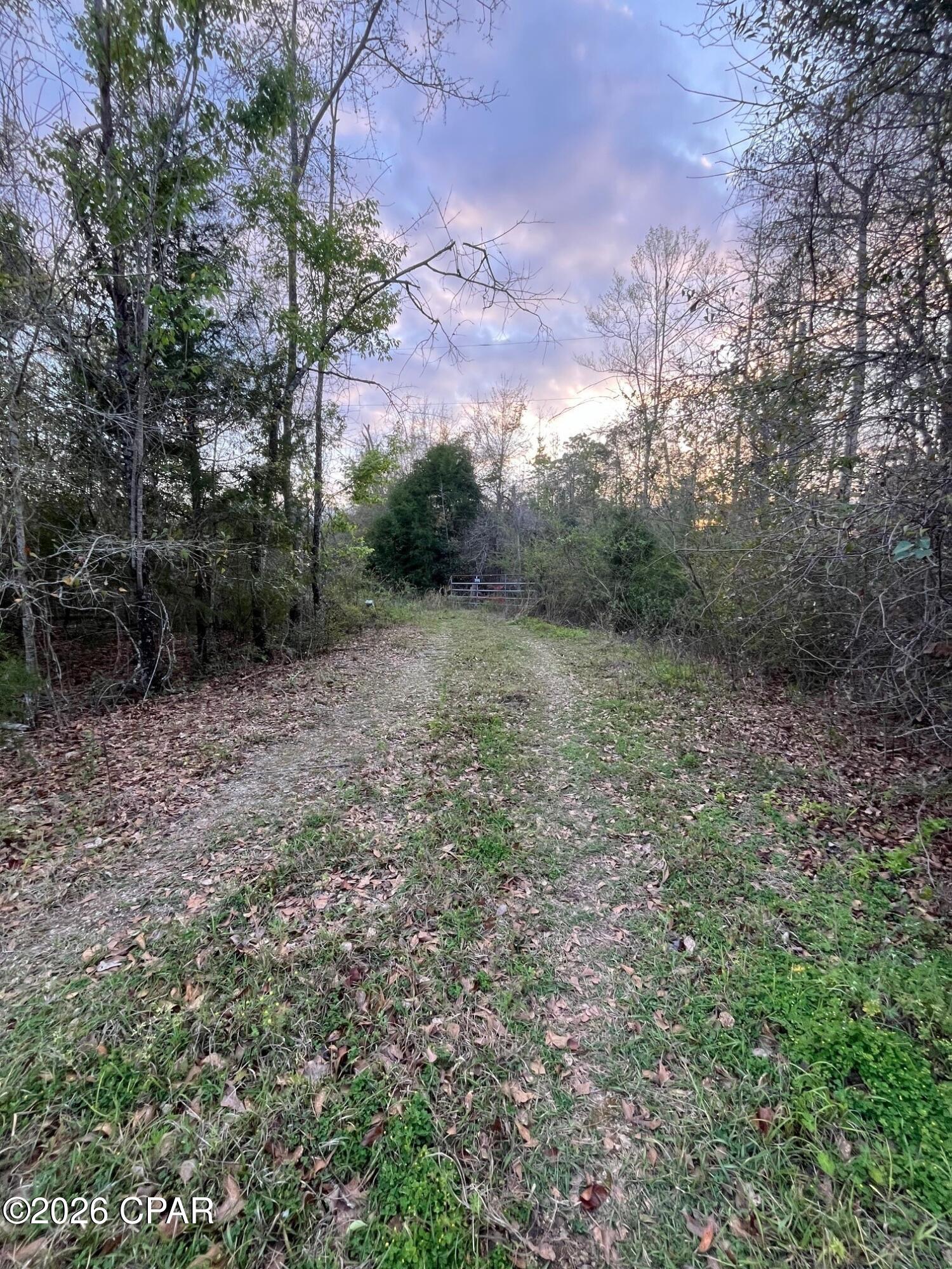5372 Sonic Drive Marianna FL 32448