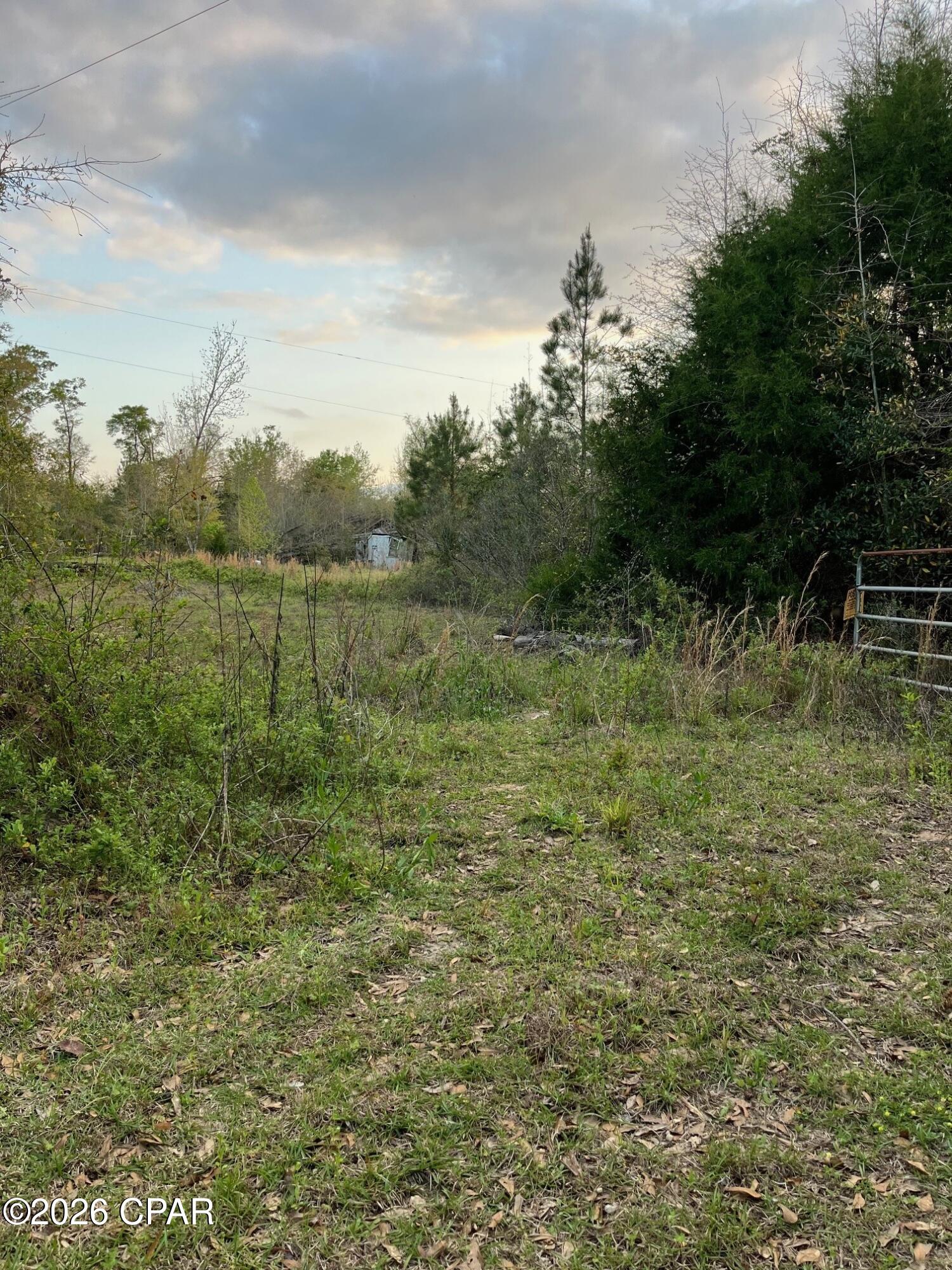 5372 Sonic Drive Marianna FL 32448