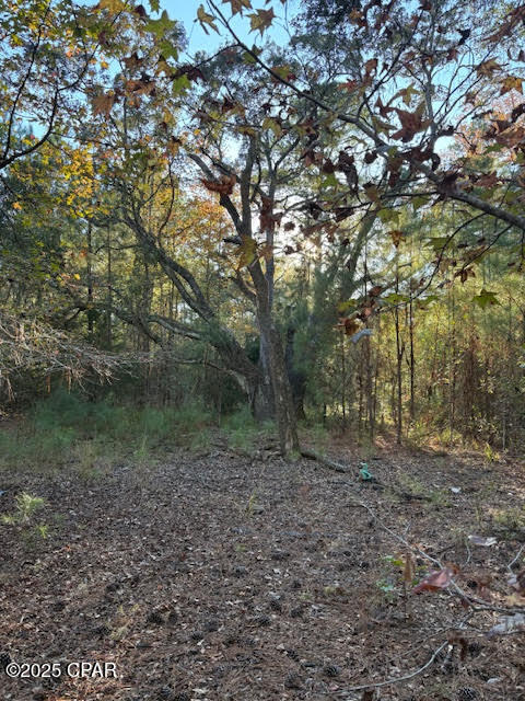 3389 Gaineroad Chipley FL 32428