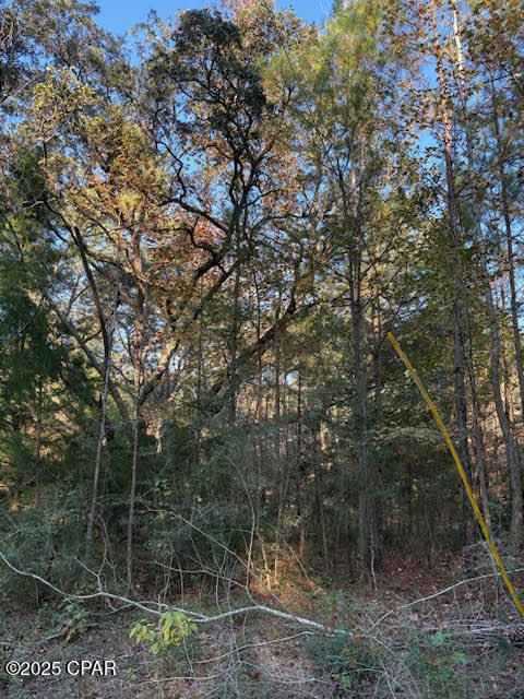 3389 Gaineroad Chipley FL 32428