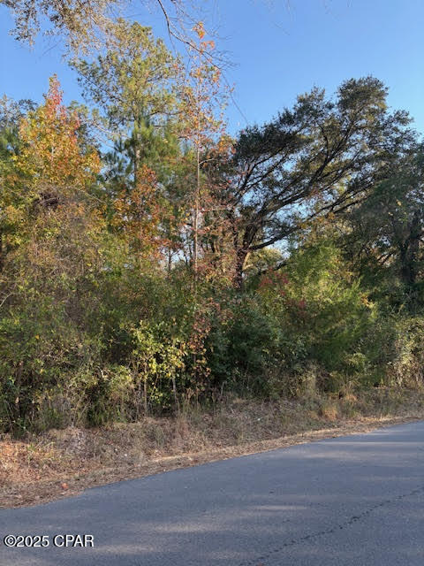 3389 Gaineroad Chipley FL 32428