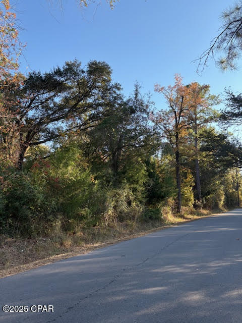 3389 Gaineroad Chipley FL 32428