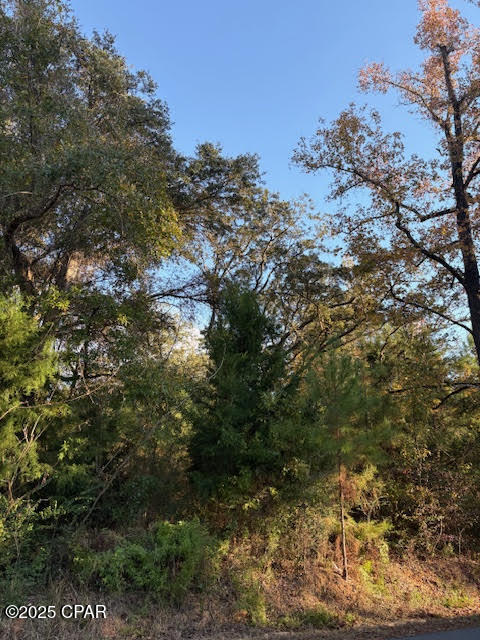 3389 Gaineroad Chipley FL 32428
