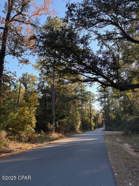 3389 Gaineroad Chipley FL 32428