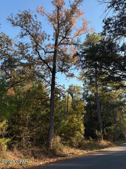 3389 Gaineroad Chipley FL 32428