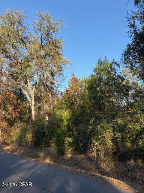 3389 Gaineroad Chipley FL 32428