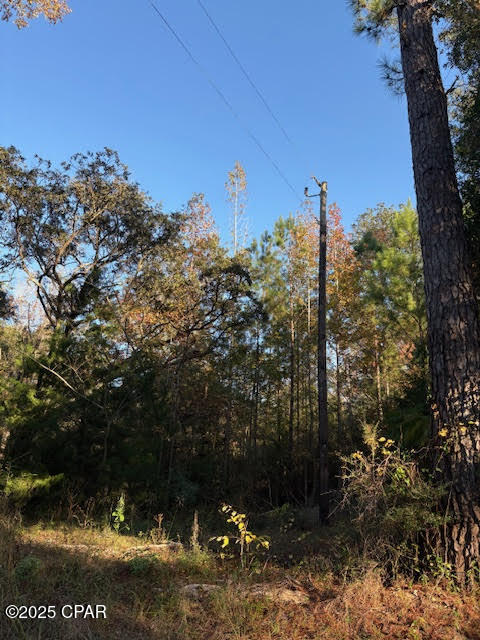 3389 Gaineroad Chipley FL 32428