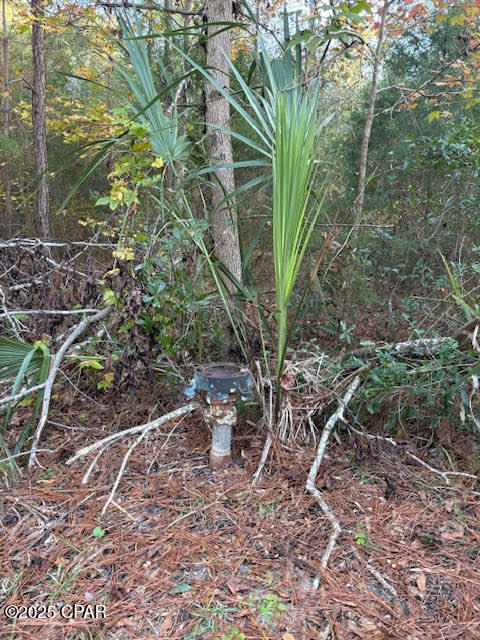 3389 Gaineroad Chipley FL 32428