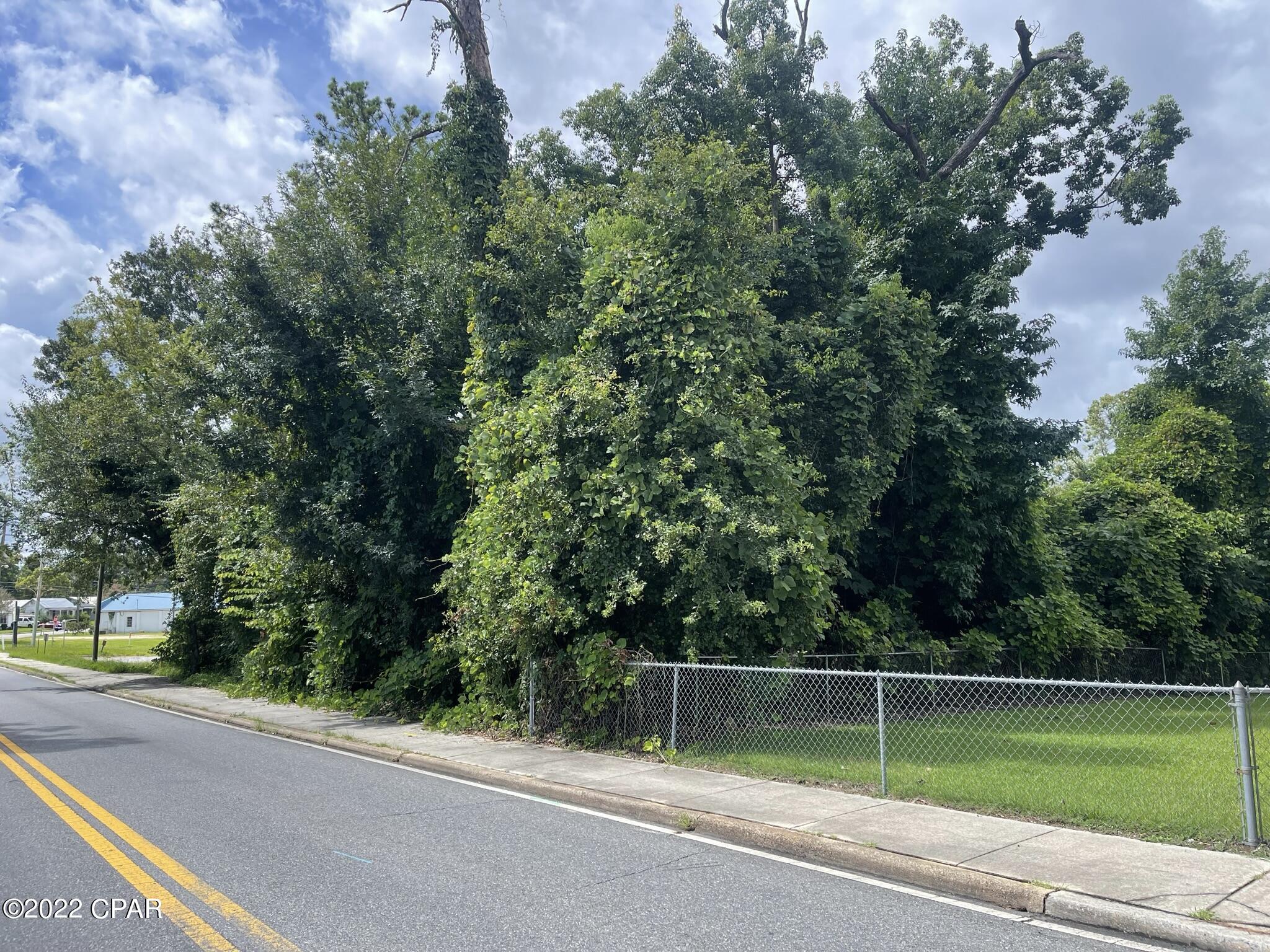 00 Carters Mill Road Marianna FL 32446