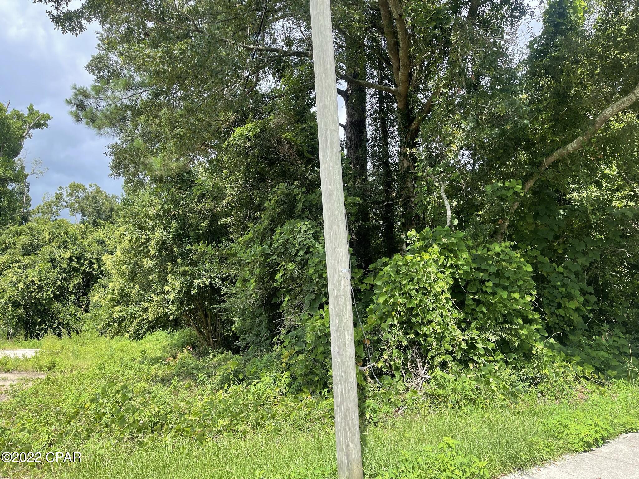 00 Carters Mill Road Marianna FL 32446