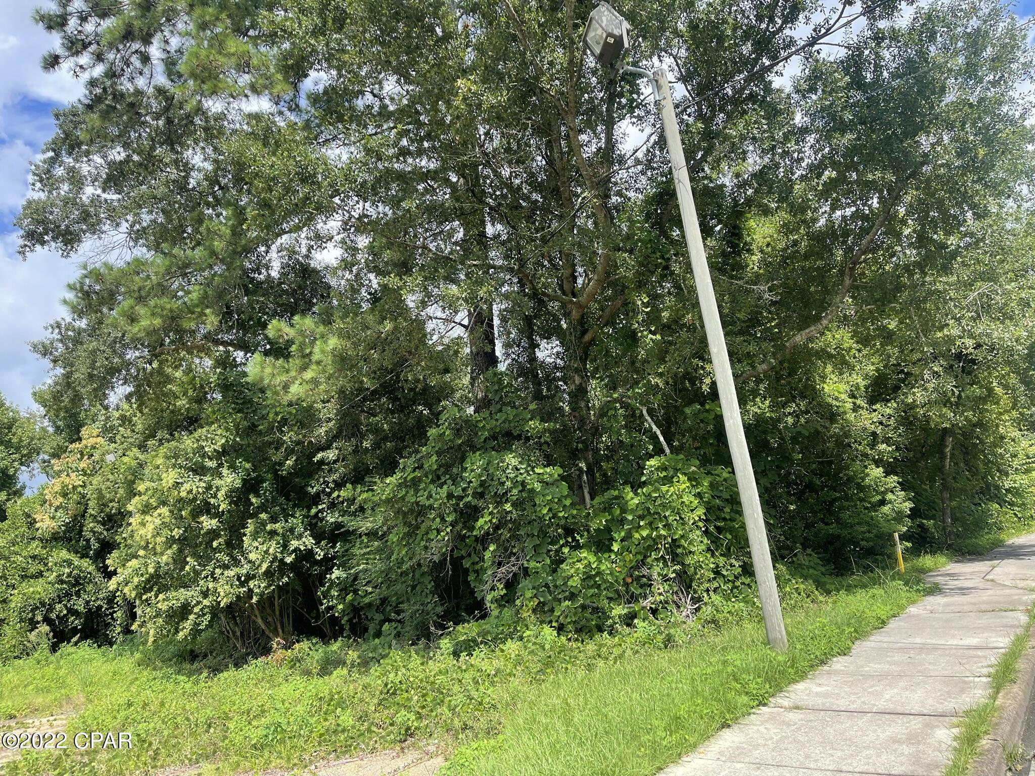 00 Carters Mill Road Marianna FL 32446