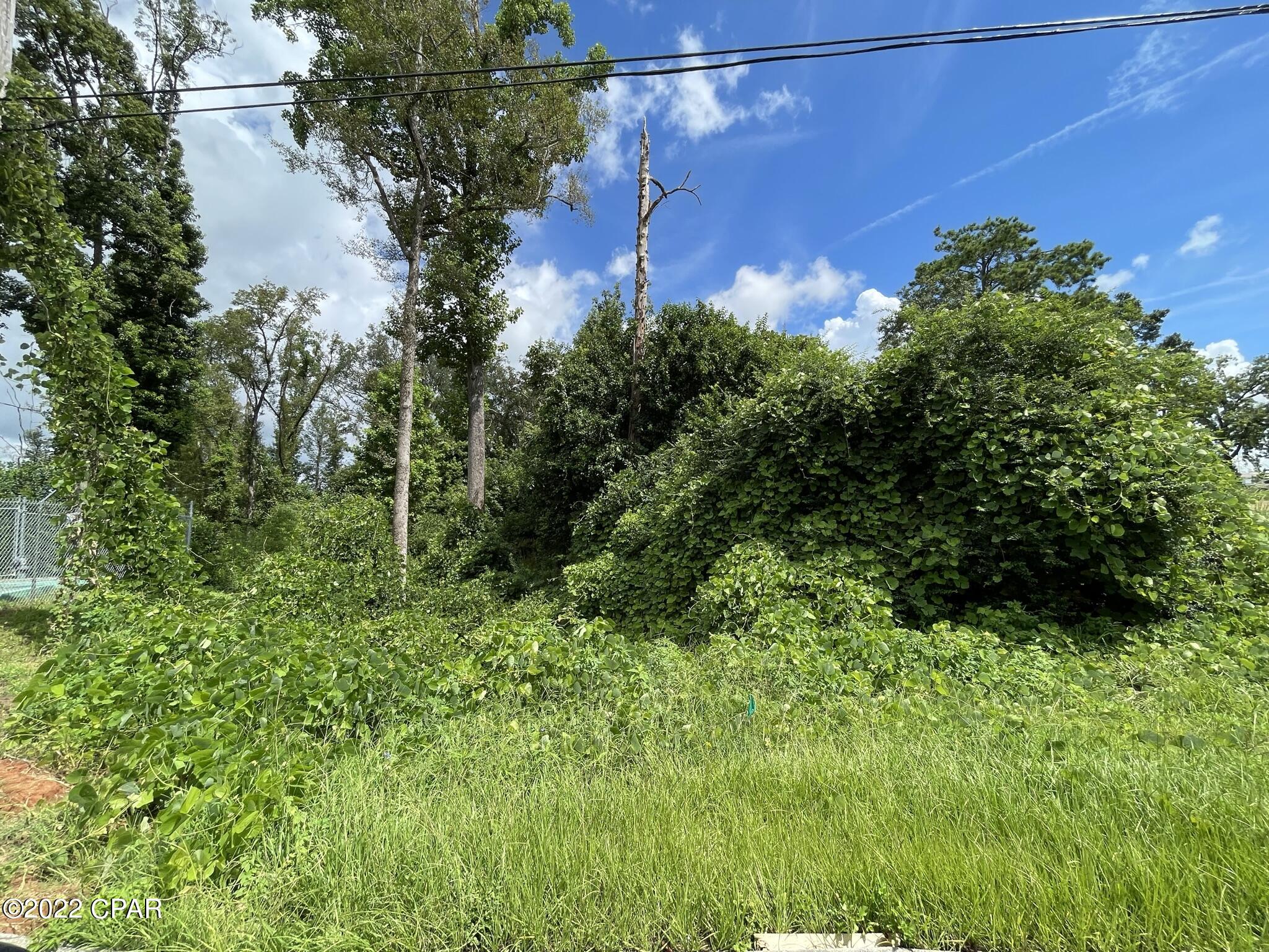 00 Carters Mill Road Marianna FL 32446