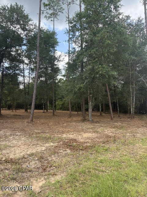 0 Forest Glen Drive Fountain FL 32438