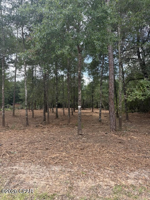 0 Forest Glen Drive Fountain FL 32438