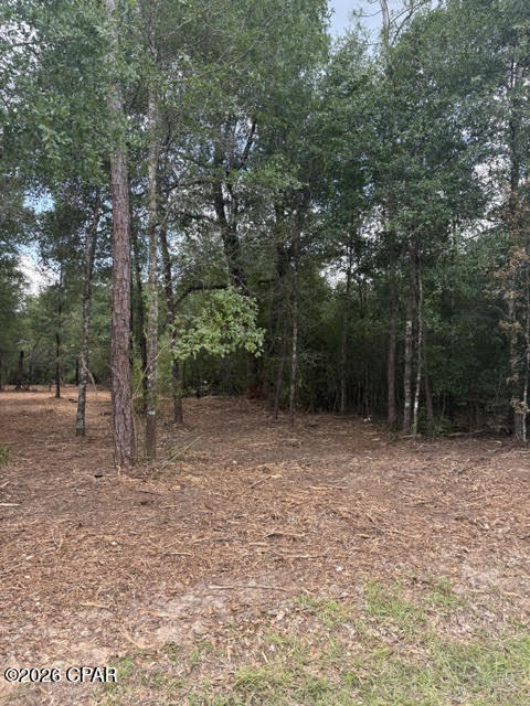 0 Forest Glen Drive Fountain FL 32438