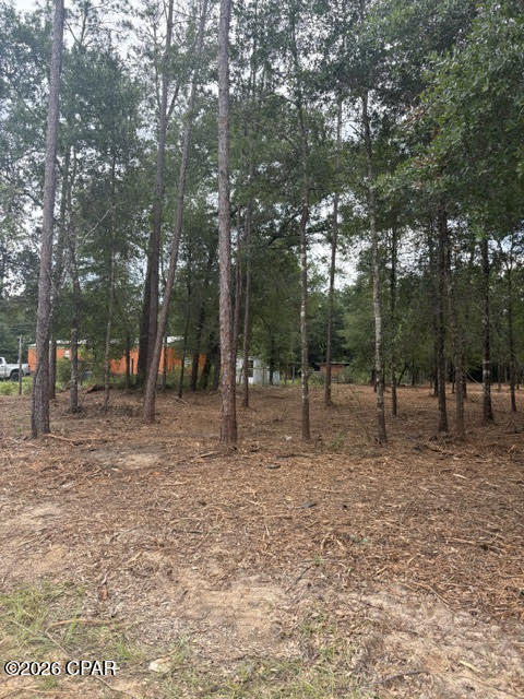 0 Forest Glen Drive Fountain FL 32438