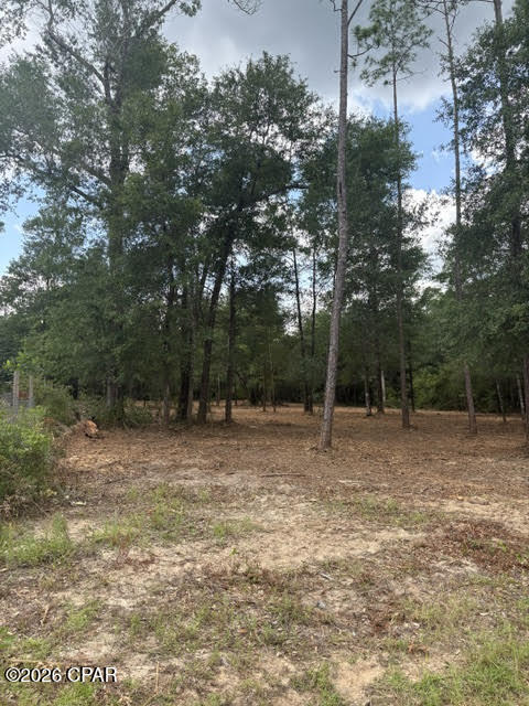 0 Forest Glen Drive Fountain FL 32438