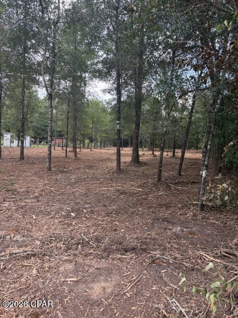 0 Forest Glen Drive Fountain FL 32438