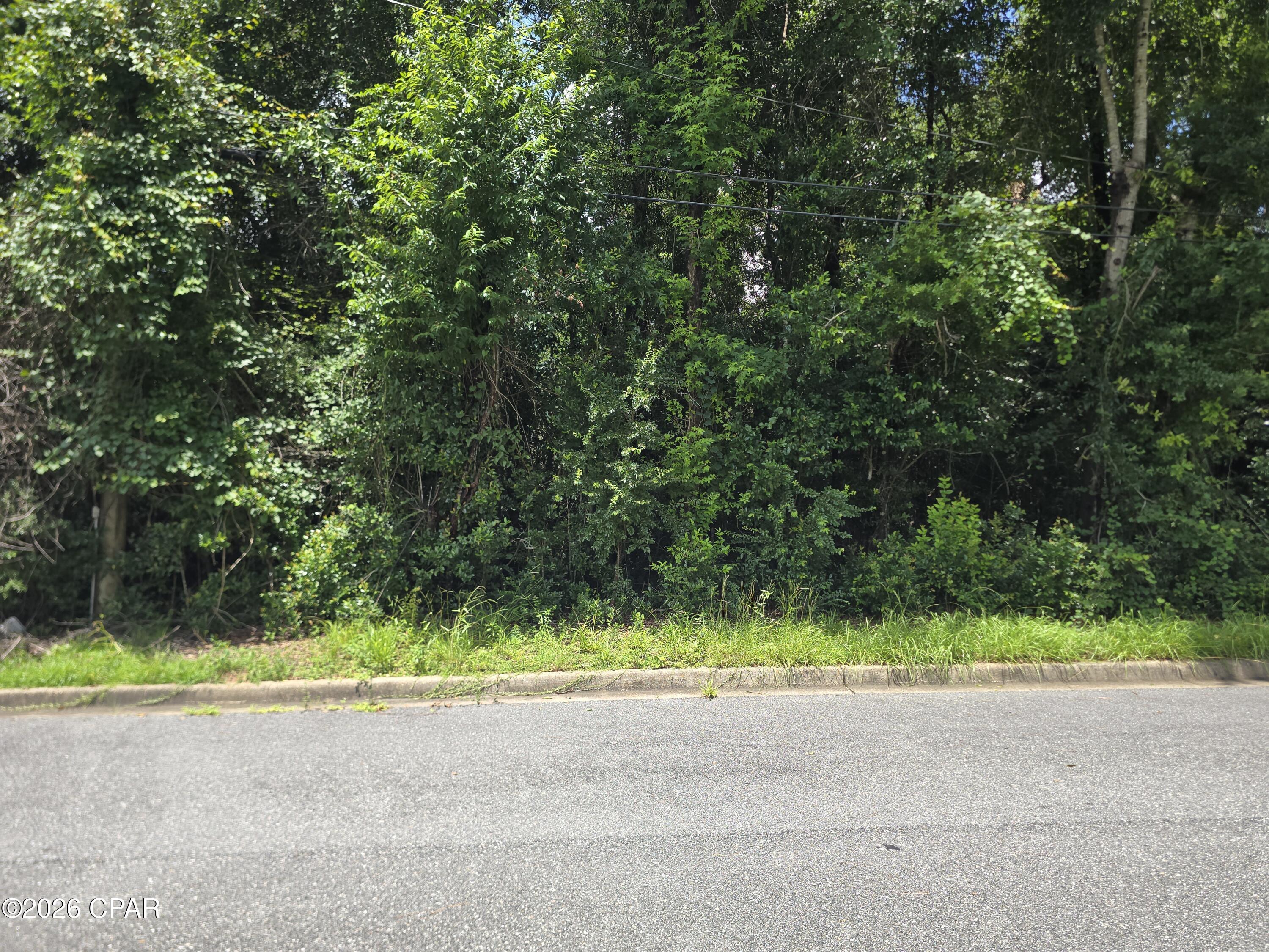 0 Hickory Lane Marianna FL 32448