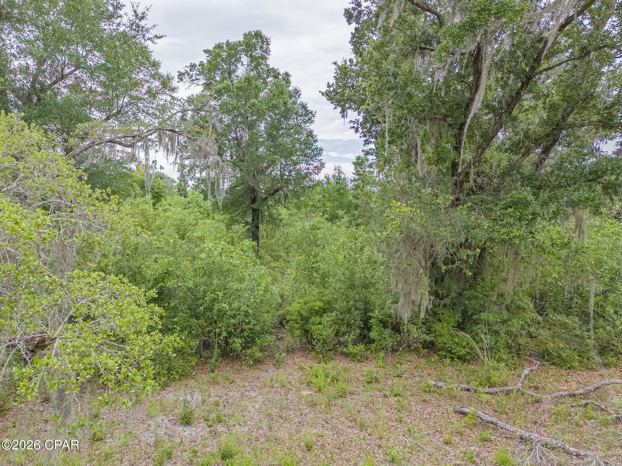 5978 Ard Drive Youngstown FL 32466