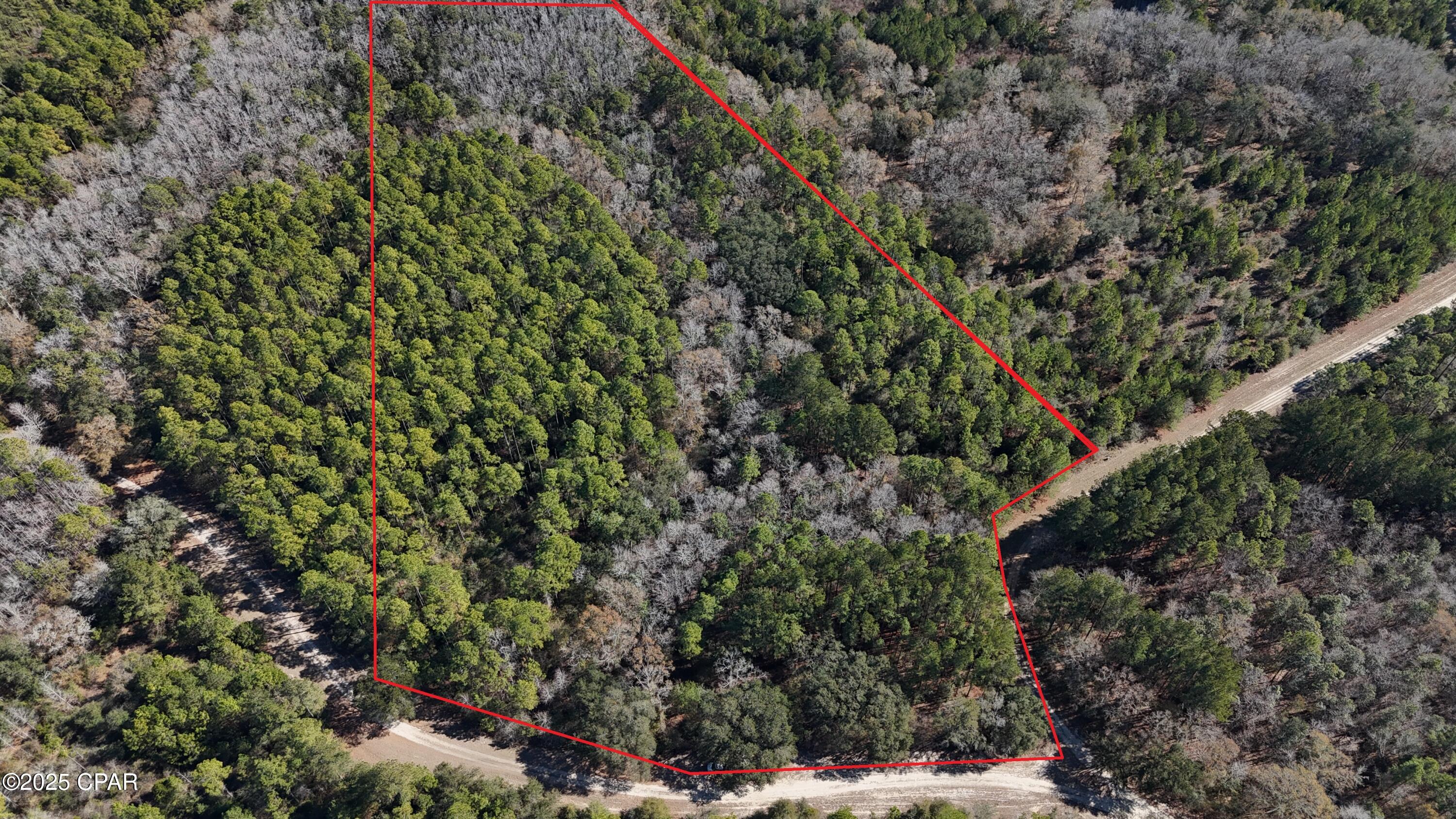 00 Canopy Oak Boulevard Bonifay FL 32425