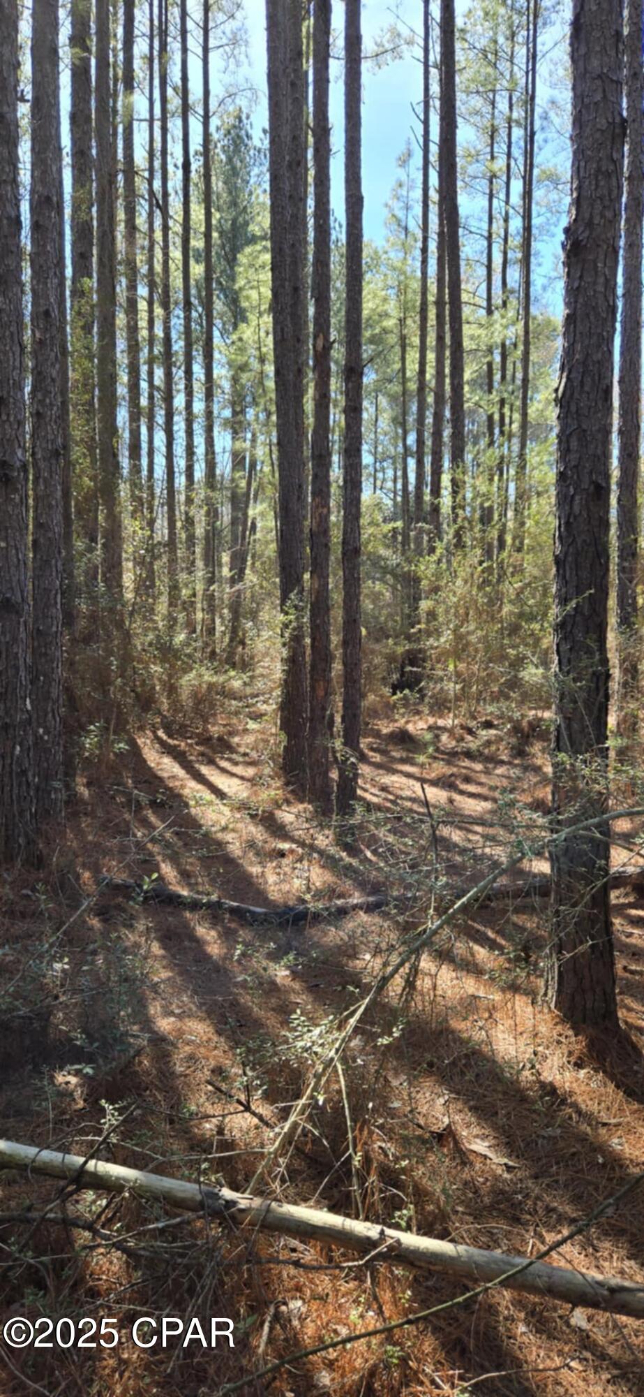 00 Canopy Oak Boulevard Bonifay FL 32425