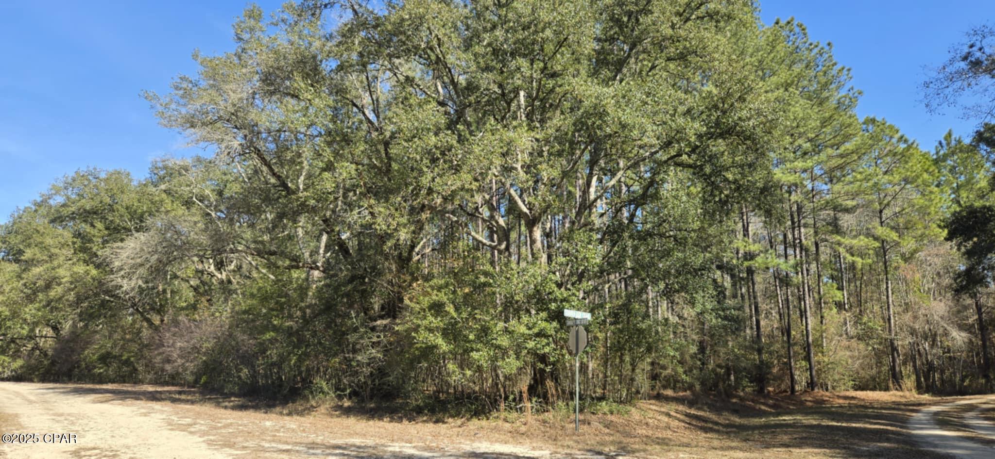 00 Canopy Oak Boulevard Bonifay FL 32425