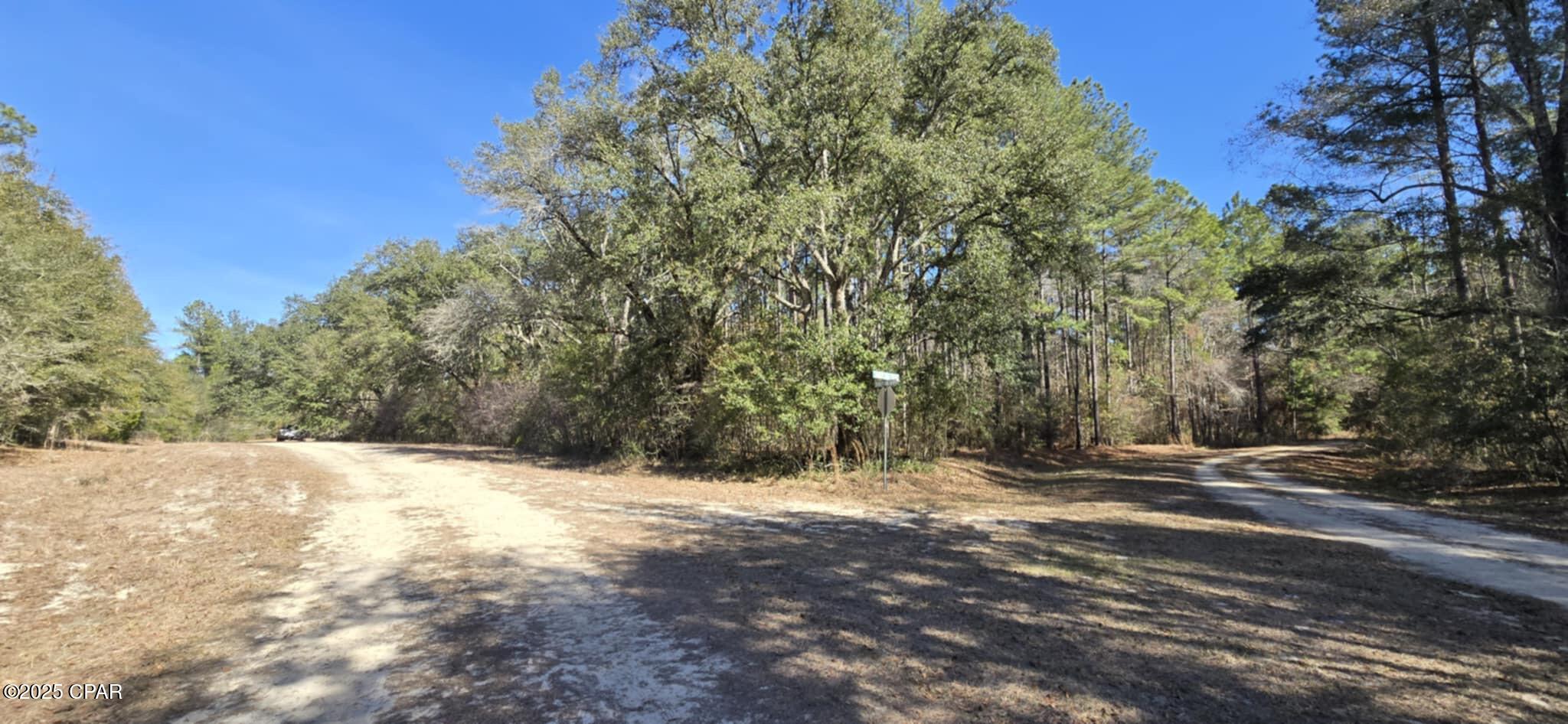 00 Canopy Oak Boulevard Bonifay FL 32425