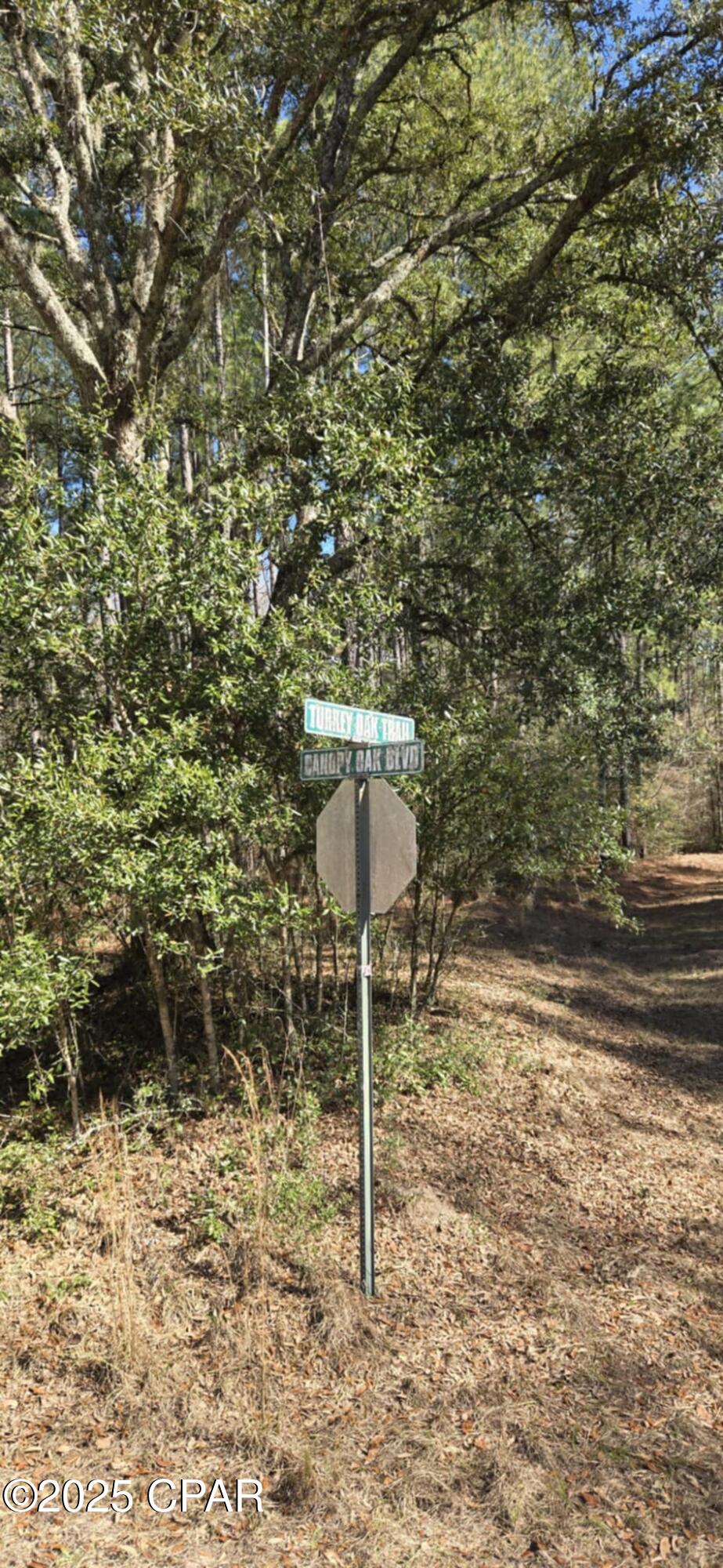 00 Canopy Oak Boulevard Bonifay FL 32425