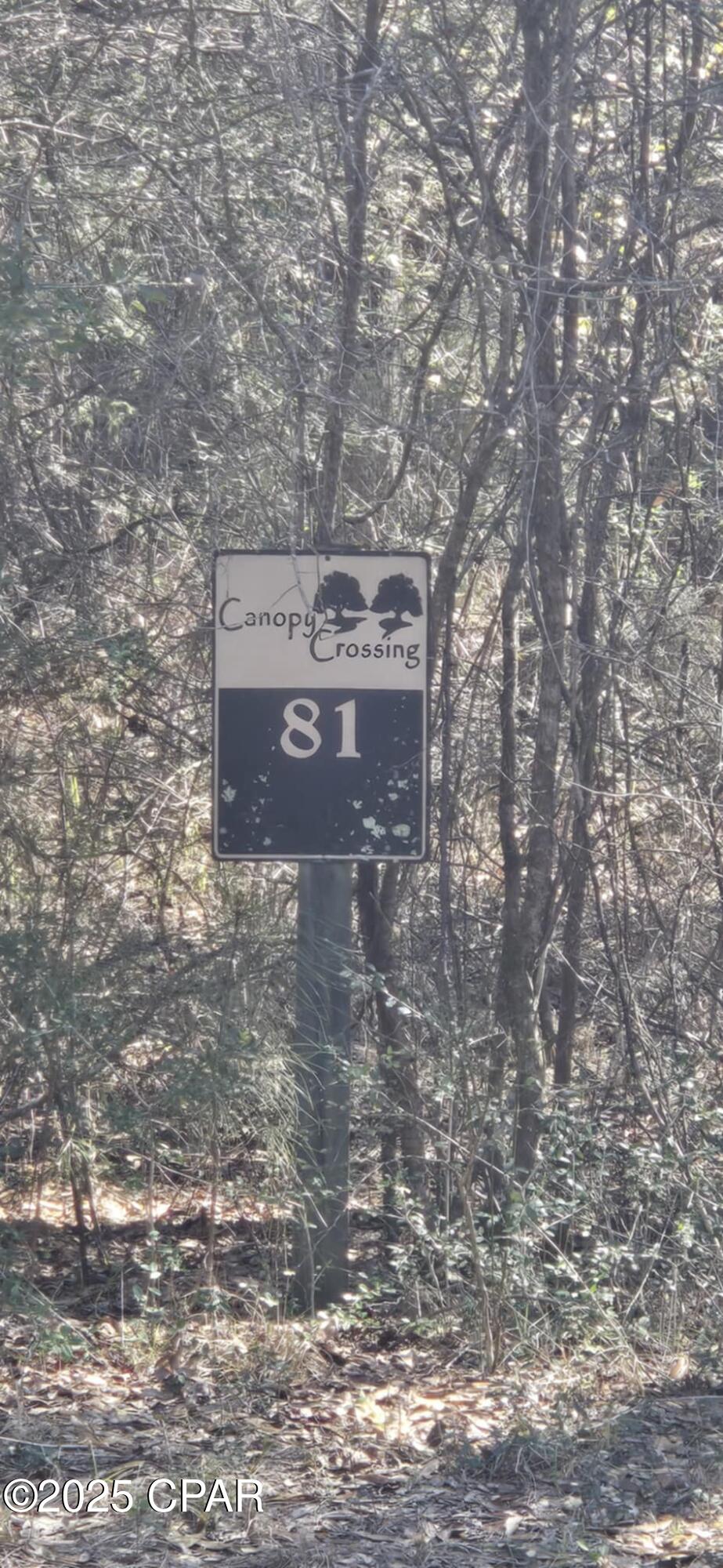 00 Canopy Oak Boulevard Bonifay FL 32425