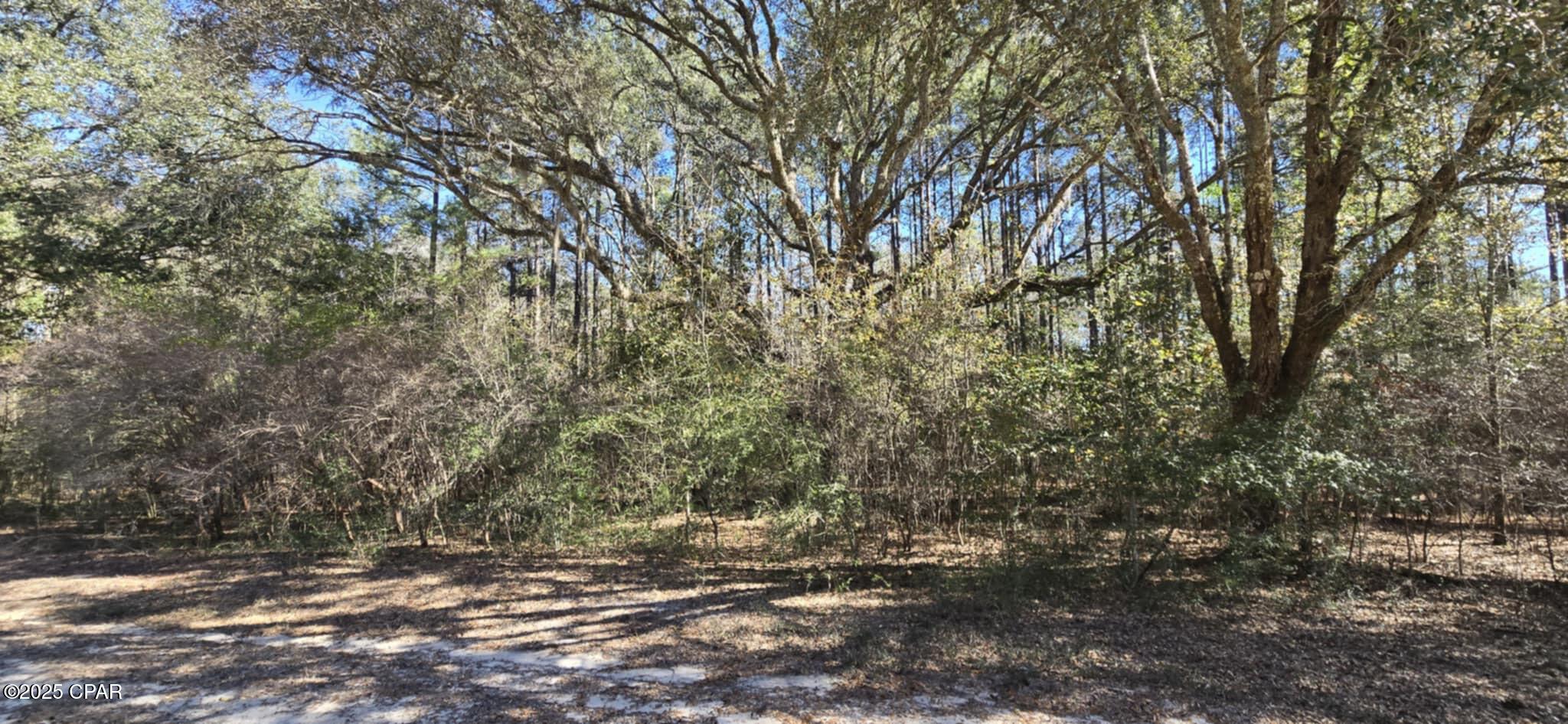 00 Canopy Oak Boulevard Bonifay FL 32425