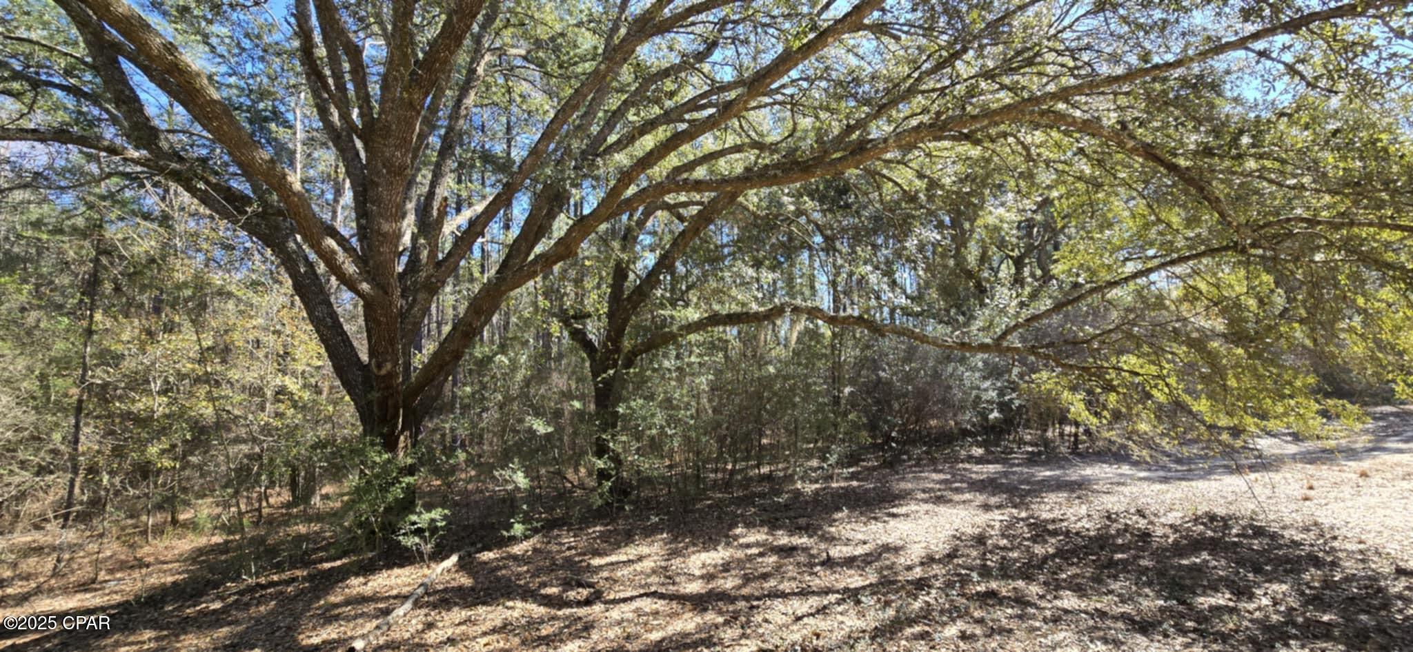 00 Canopy Oak Boulevard Bonifay FL 32425