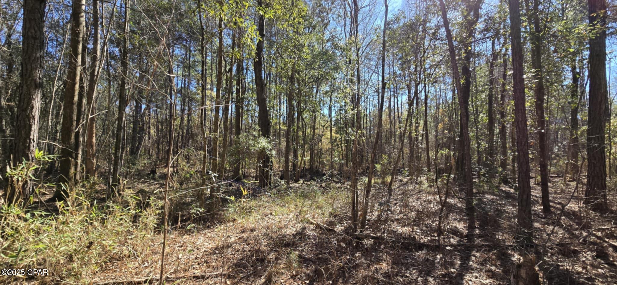 00 Canopy Oak Boulevard Bonifay FL 32425