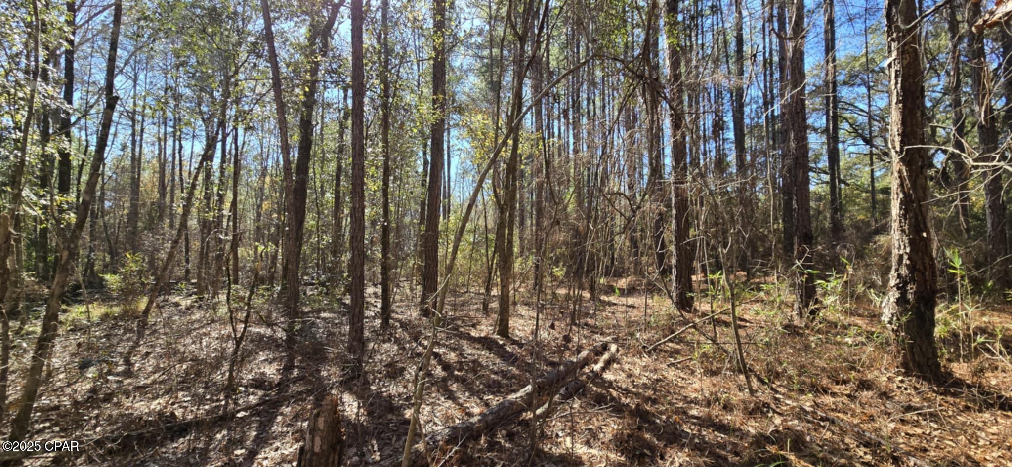00 Canopy Oak Boulevard Bonifay FL 32425