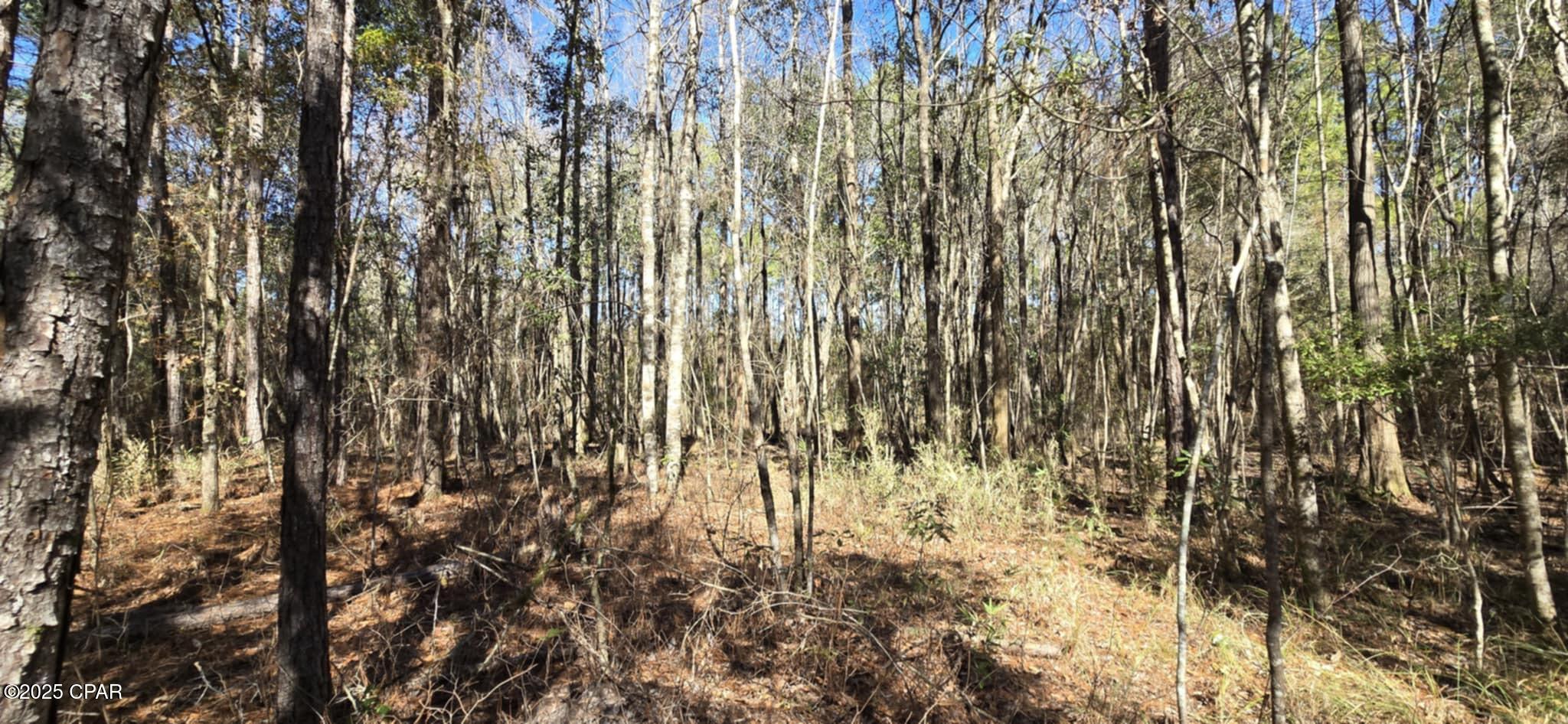 00 Canopy Oak Boulevard Bonifay FL 32425