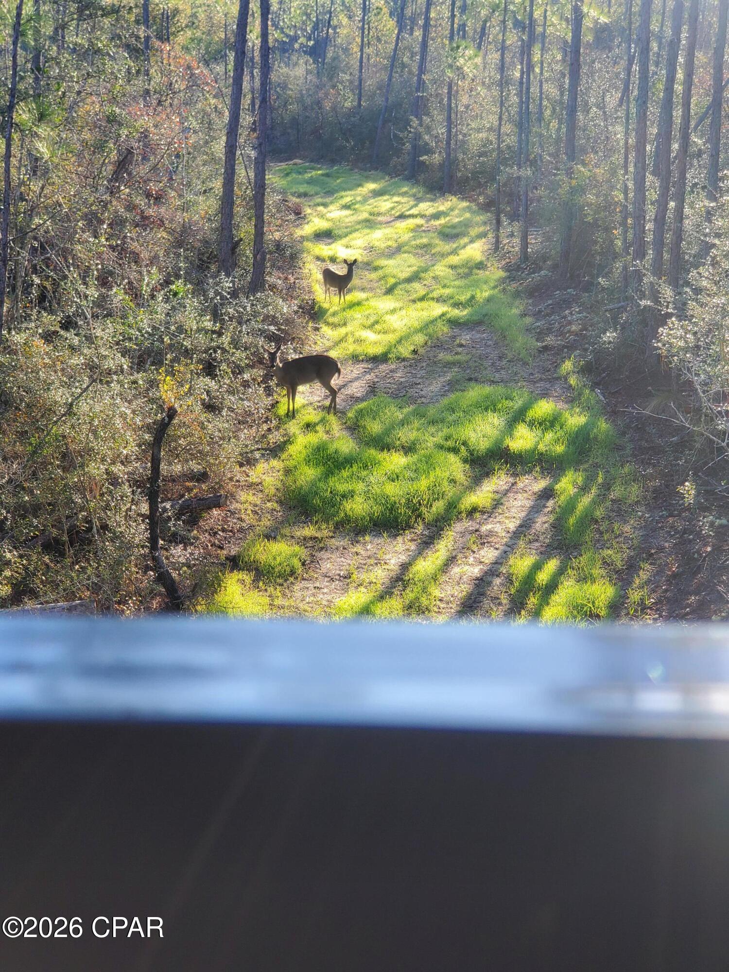 19 2n 12w -6 Fountain FL 32438